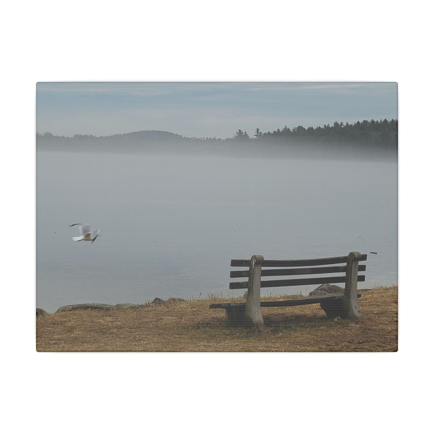 Canvas Print in Multiple Landscape Sizes from the Wildlife Series at Intriguing Vistas