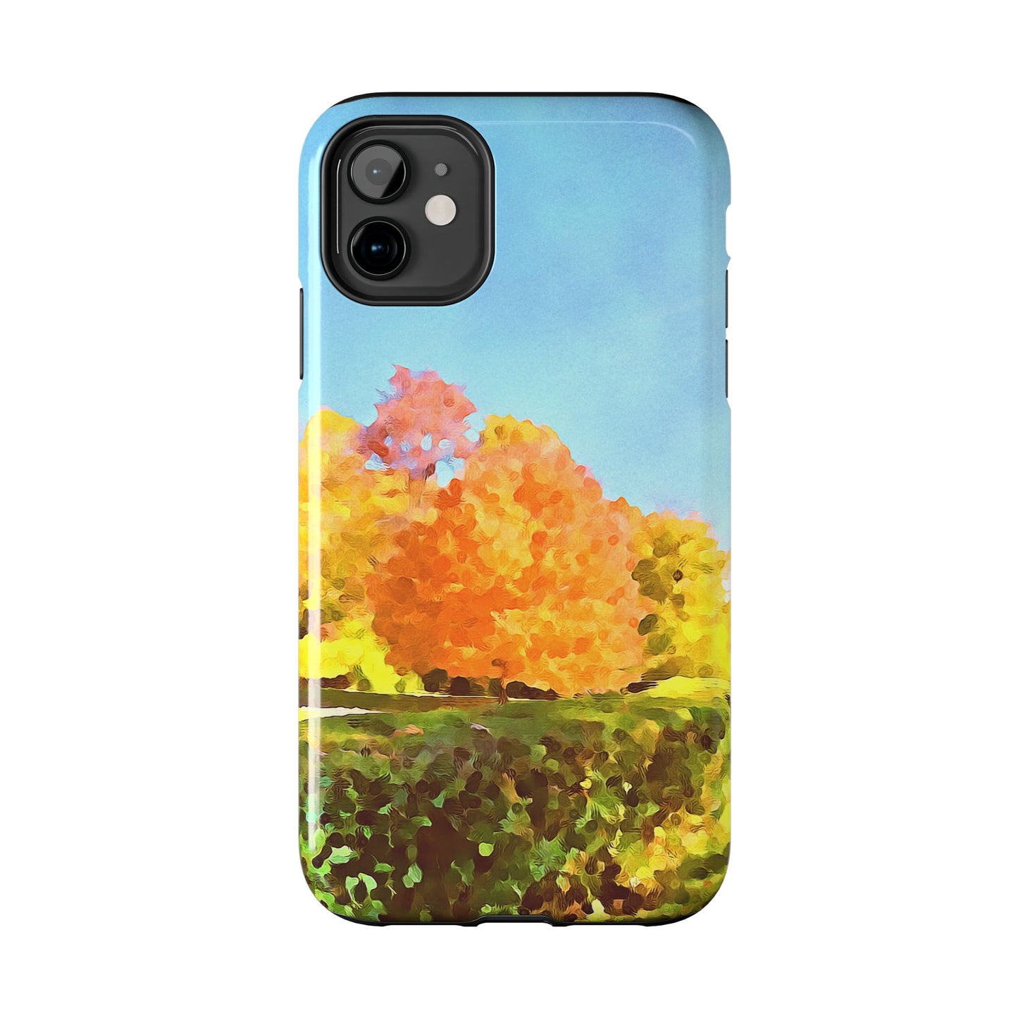 Custom Tough Phone Case for iPhone & Samsung From The Scenery Series at Intriguing Vistas