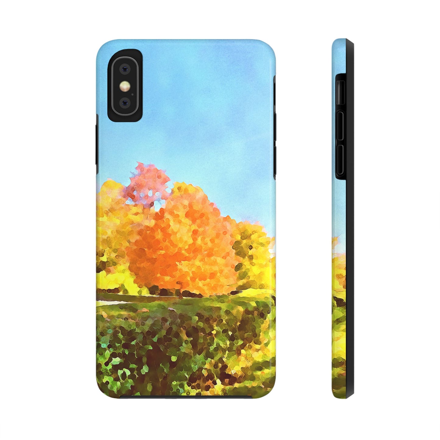 Custom Tough Phone Case for iPhone & Samsung From The Scenery Series at Intriguing Vistas