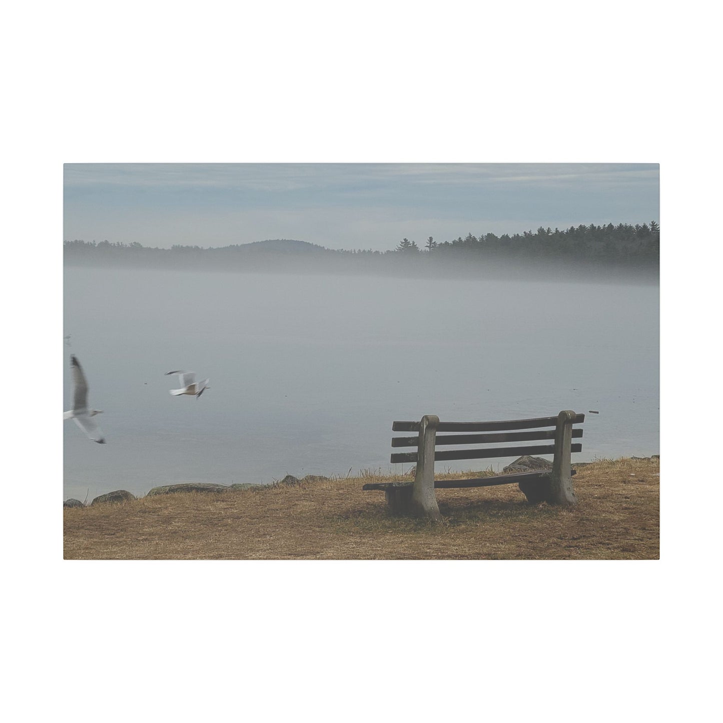Canvas Print in Multiple Landscape Sizes from the Wildlife Series at Intriguing Vistas