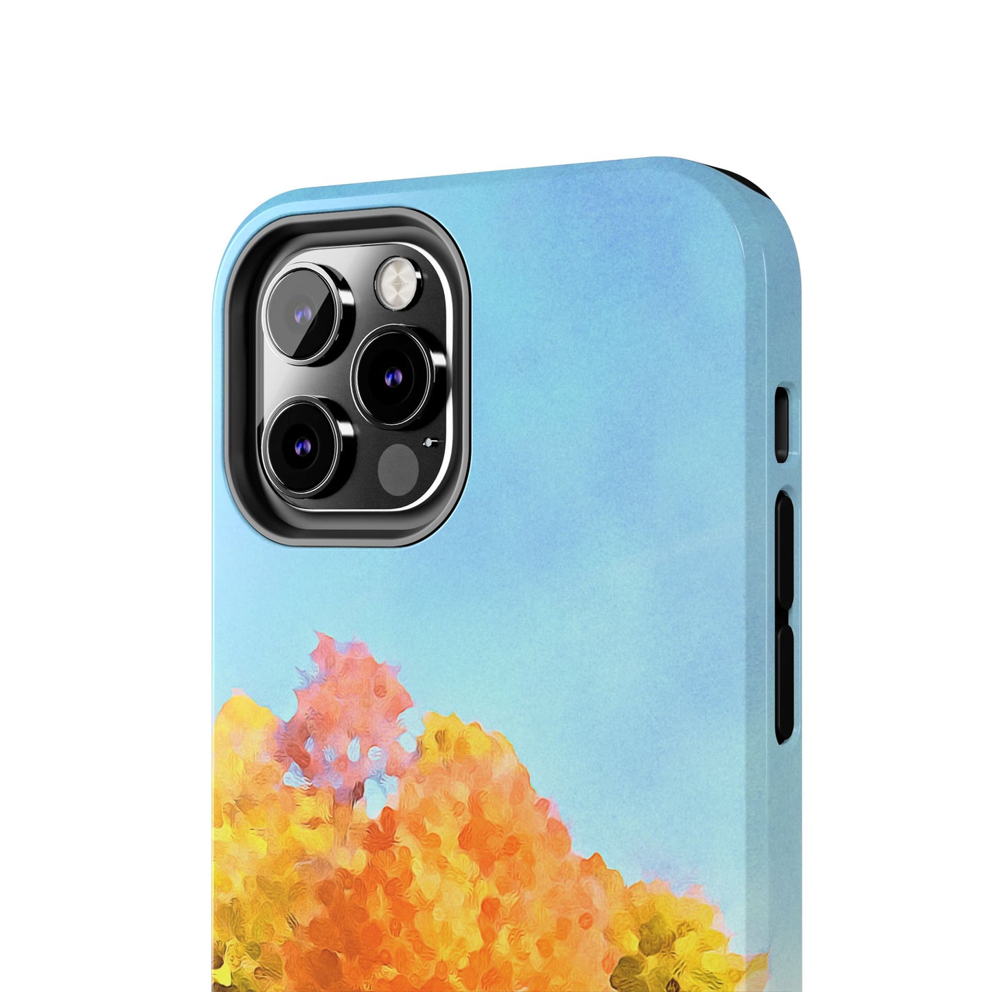 Custom Tough Phone Case for iPhone & Samsung From The Scenery Series at Intriguing Vistas