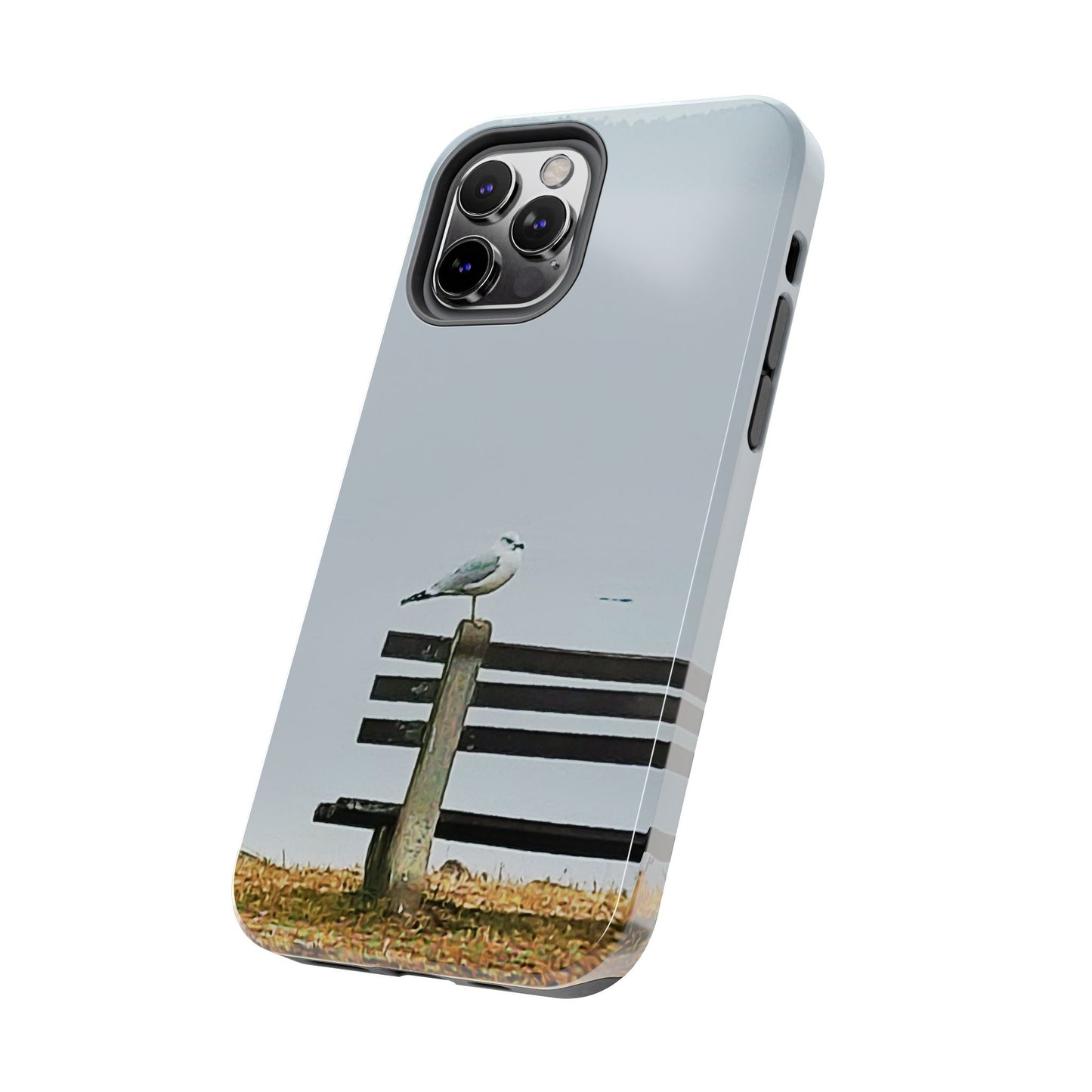 Custom Tough Phone Case for iPhone & Samsung From The Scenery Series at Intriguing Vistas