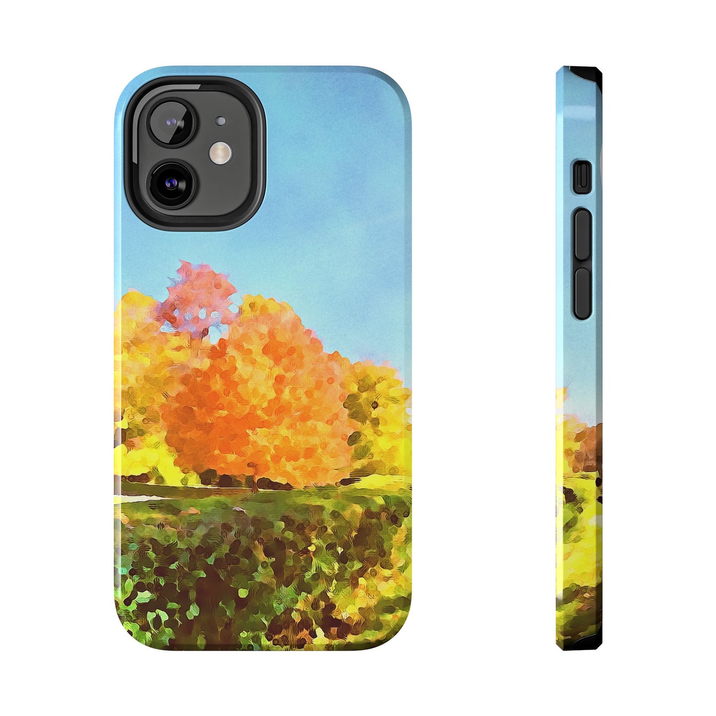 Custom Tough Phone Case for iPhone & Samsung From The Scenery Series at Intriguing Vistas
