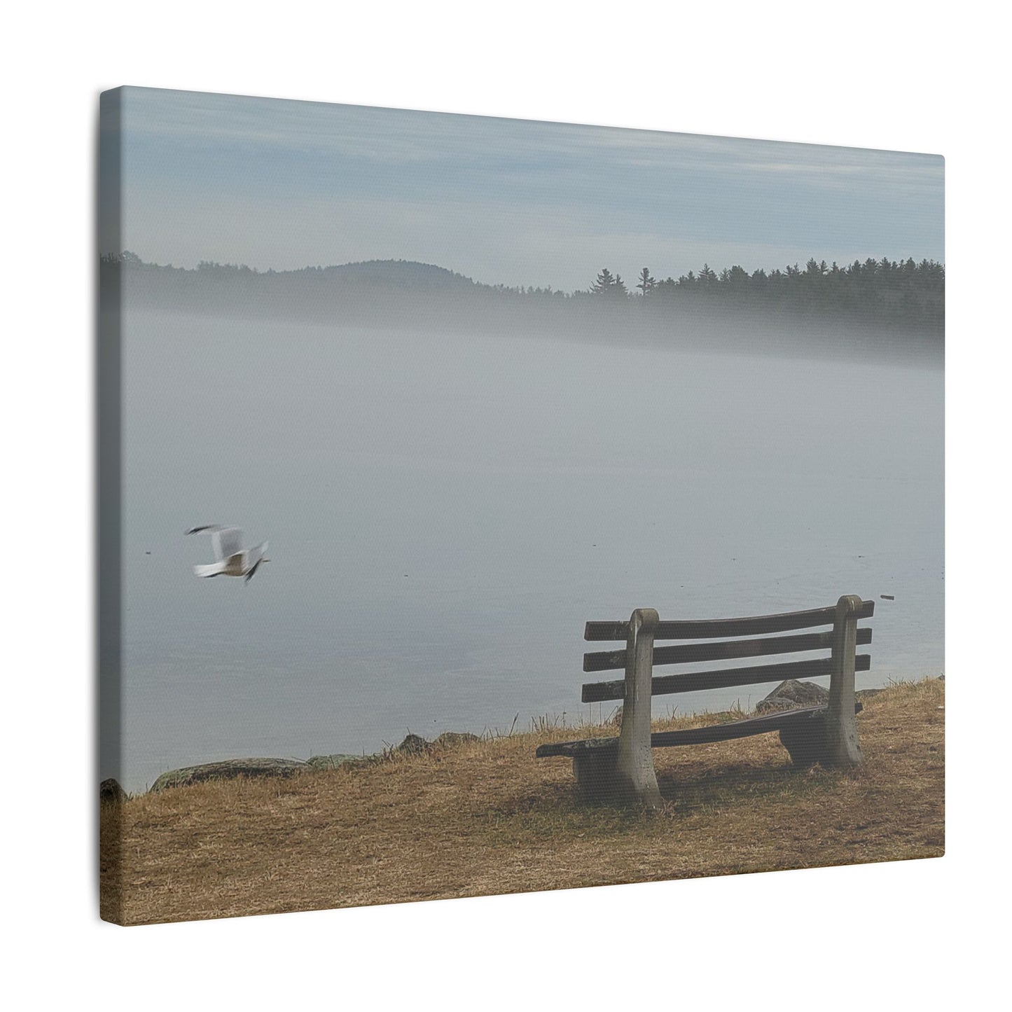 Canvas Print in Multiple Landscape Sizes from the Wildlife Series at Intriguing Vistas