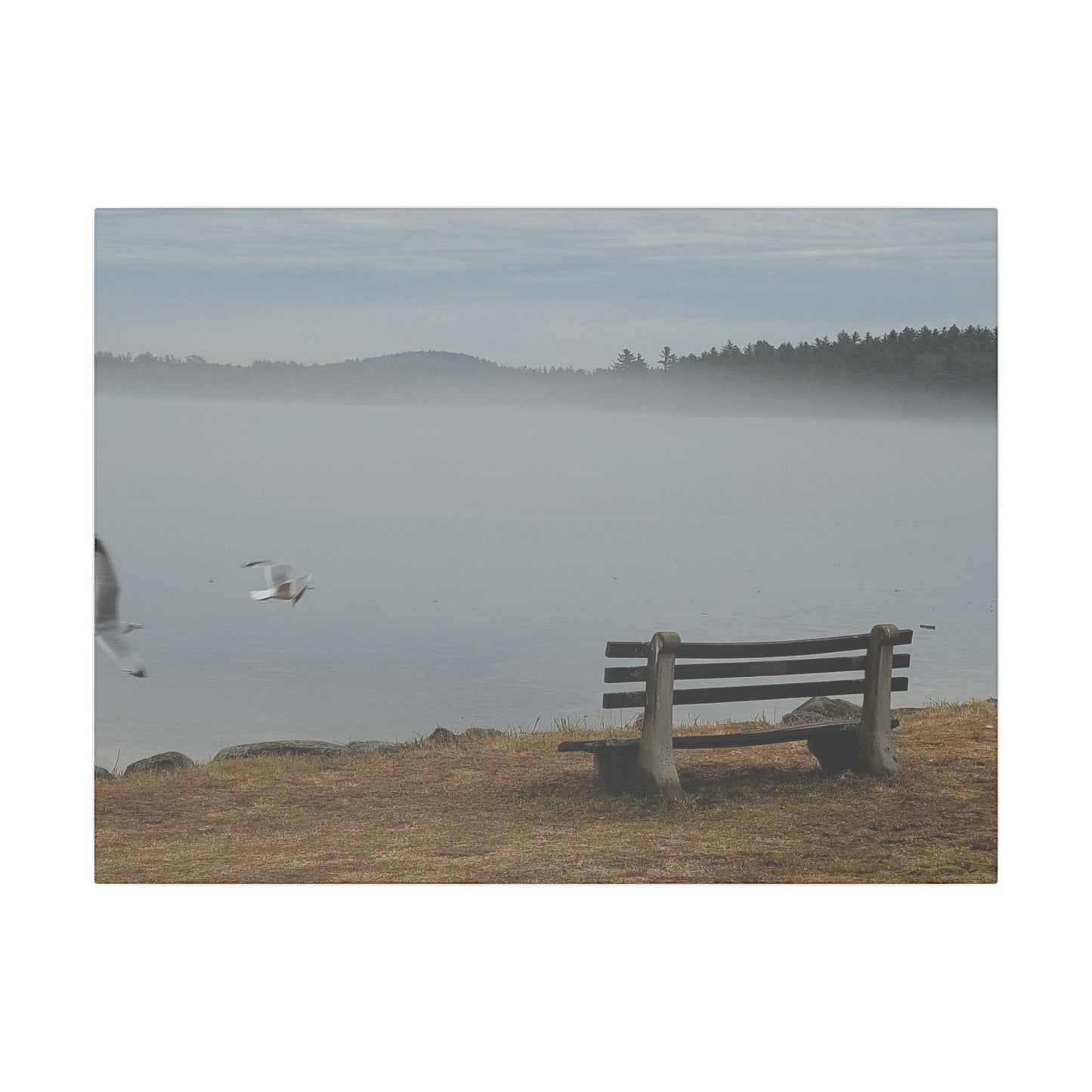 Canvas Print in Multiple Landscape Sizes from the Wildlife Series at Intriguing Vistas