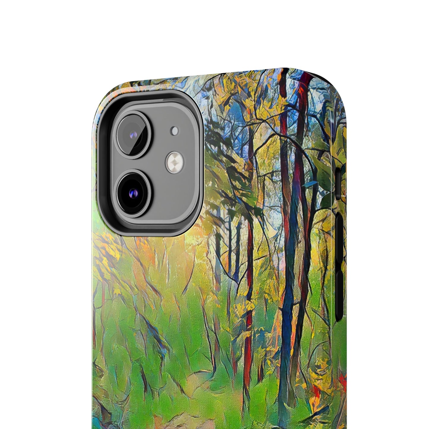 Custom Tough Phone Case for iPhone & Samsung From The Scenery Series at Intriguing Vistas
