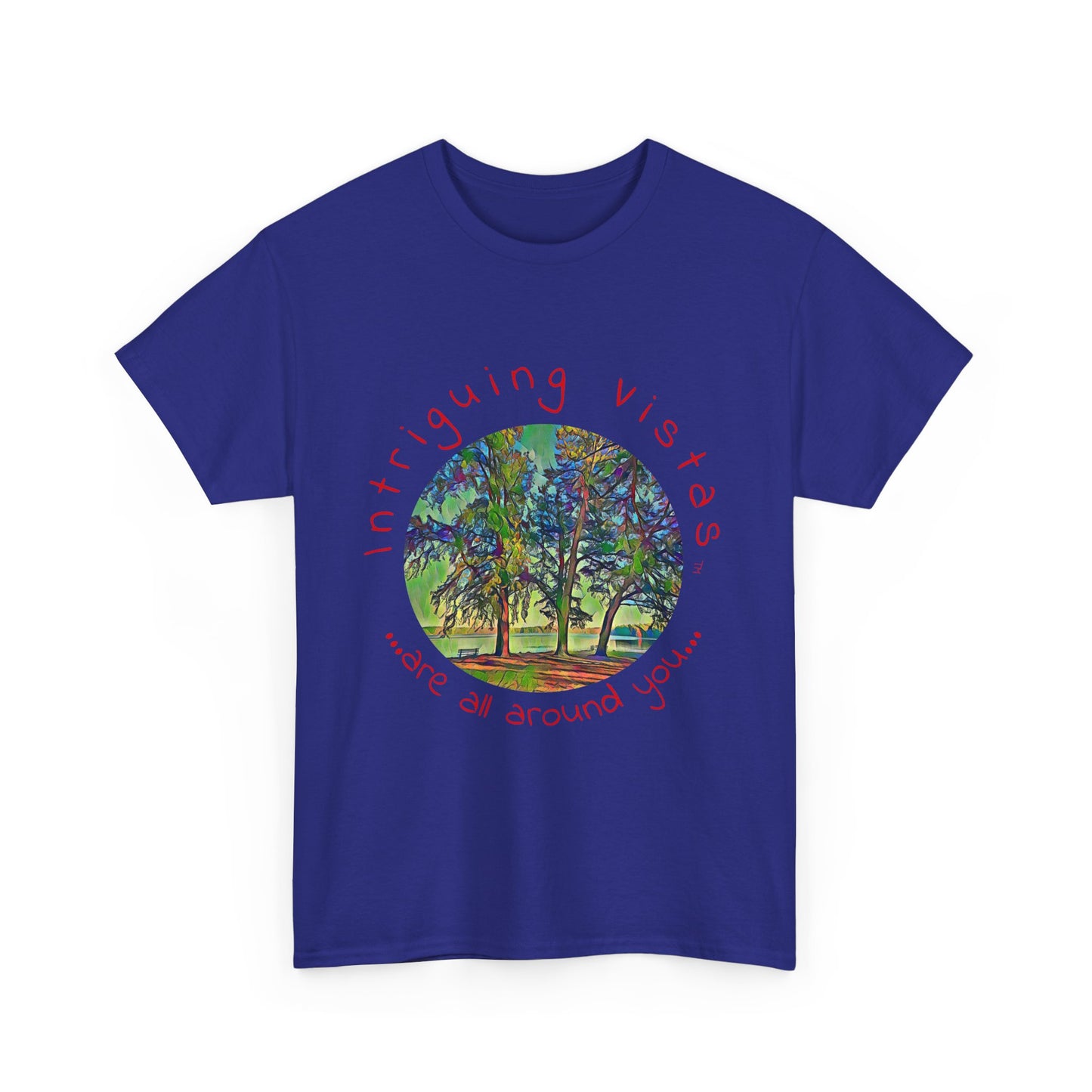 Gildan 5000 Unisex Adult Heavy Cotton Tee from the Scenery Series at Intriguing Vistas