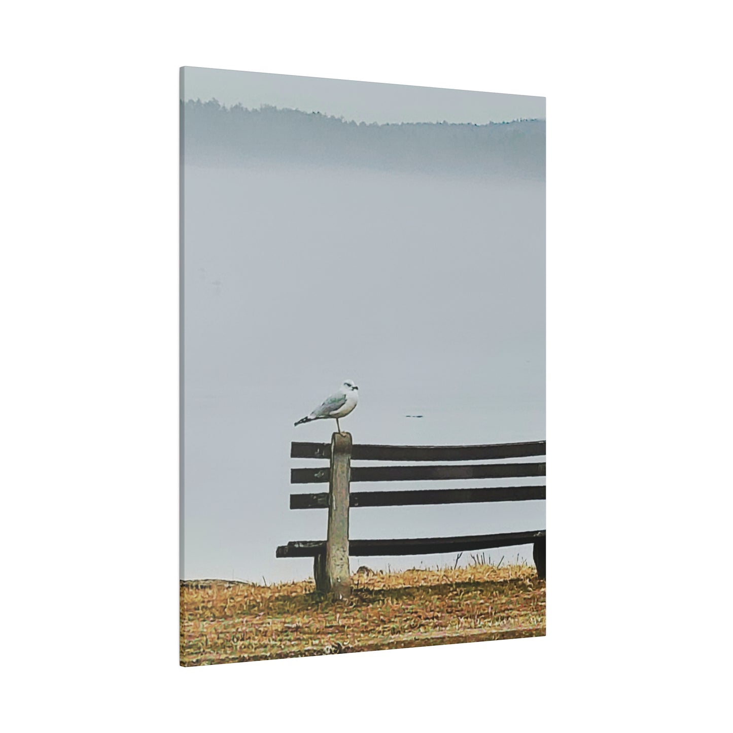 Intriguing Vistas™ Wildlife Series Matte Canvas Print in 12 Portrait Sizes!!