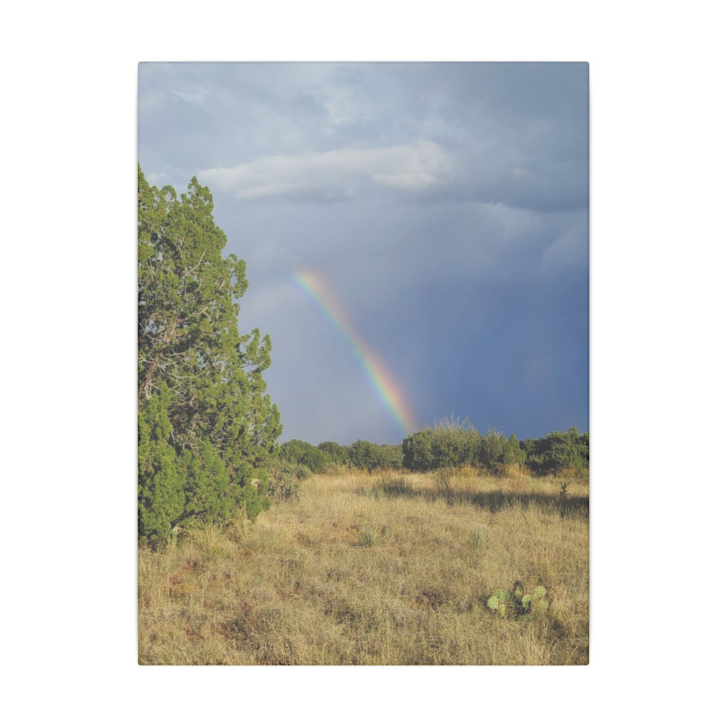 Canvas Print in Multiple Portrait Sizes from the Rainbow Series at Intriguing Vistas