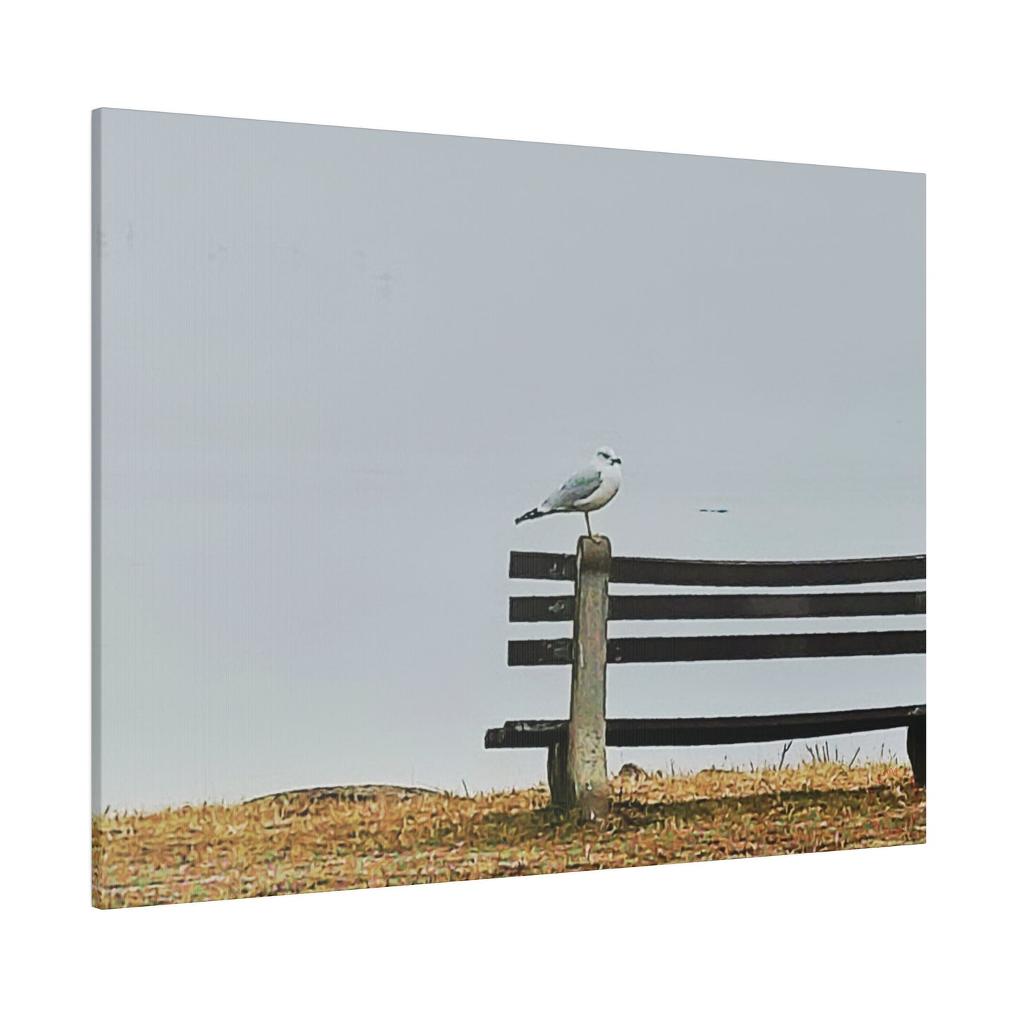 Intriguing Vistas™ Wildlife Series Matte Canvas Print in 12 Landscape Sizes!!