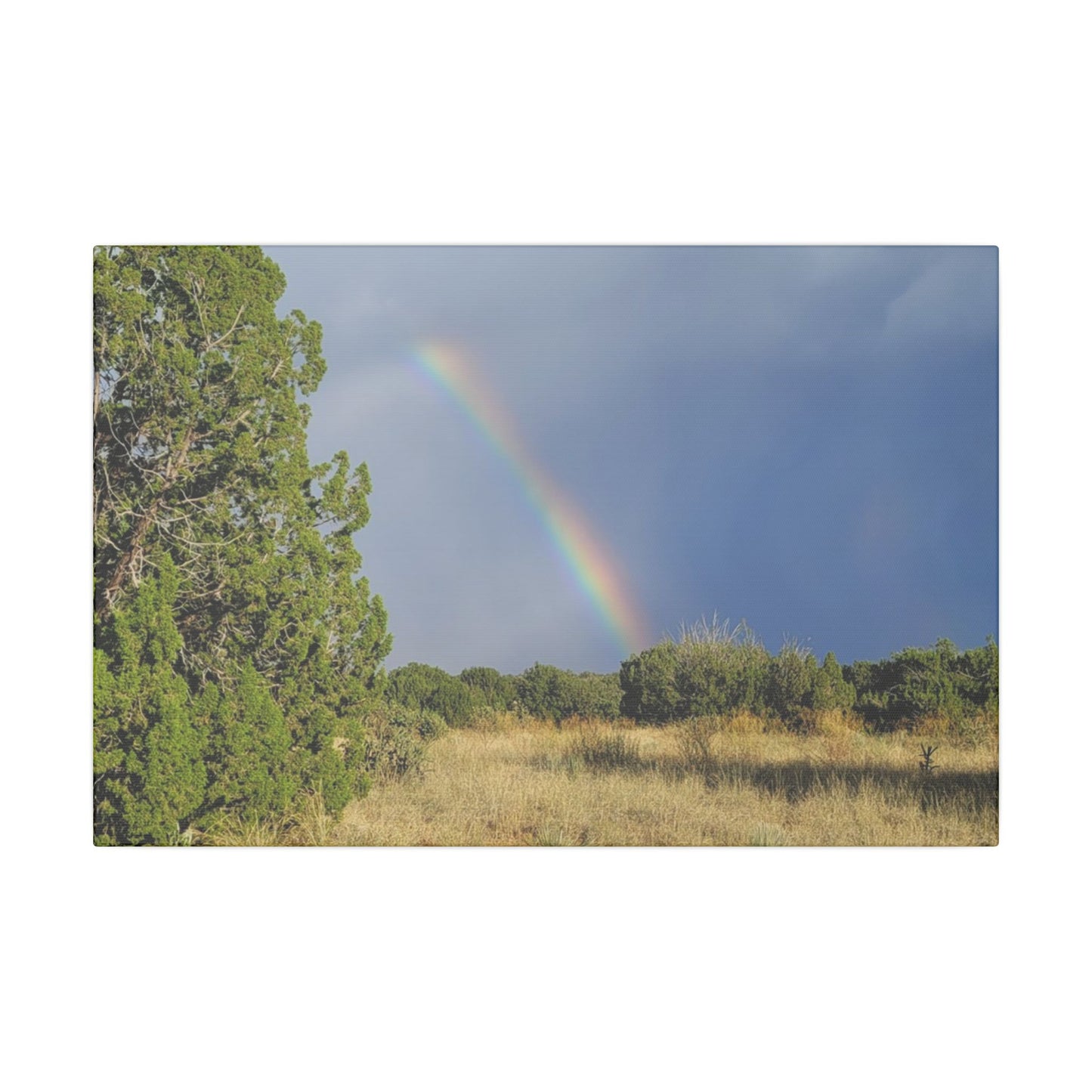 Canvas Print in Multiple Landscape Sizes from the Rainbow Series at Intriguing Vistas