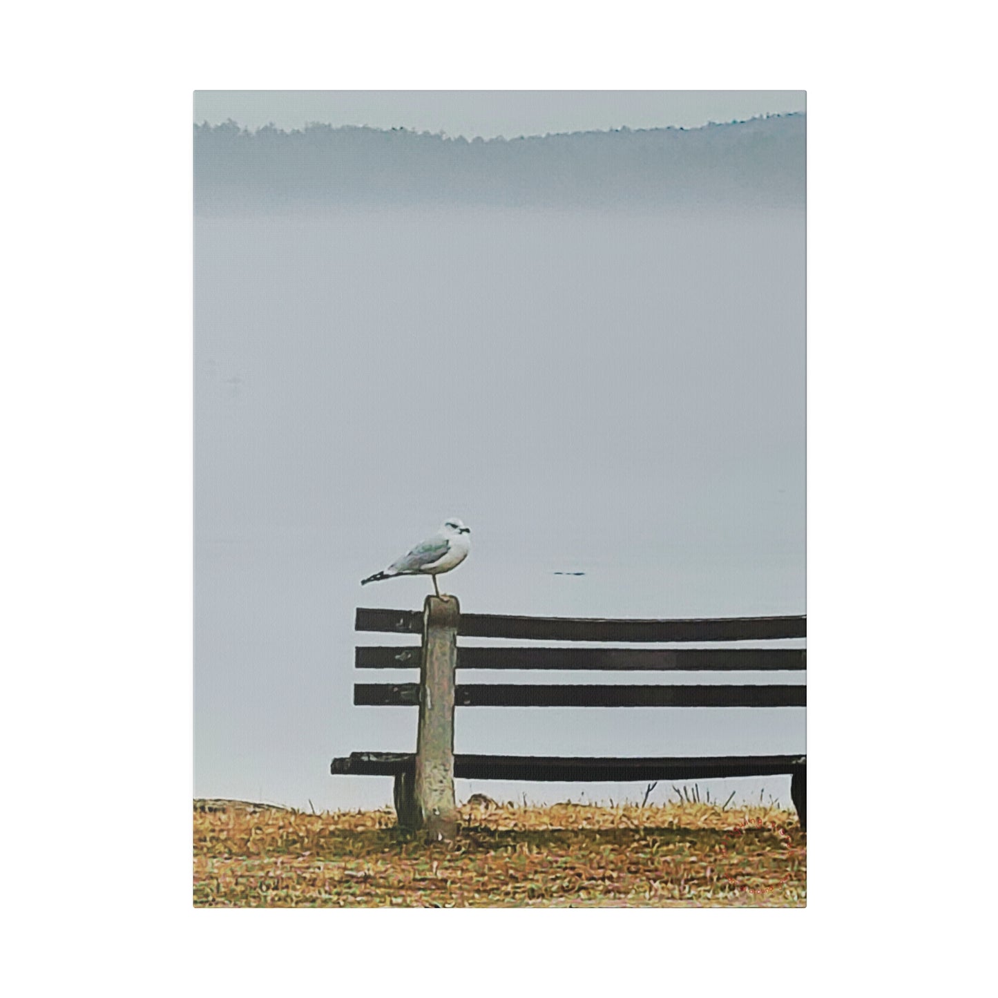 Intriguing Vistas™ Wildlife Series Matte Canvas Print in 12 Portrait Sizes!!