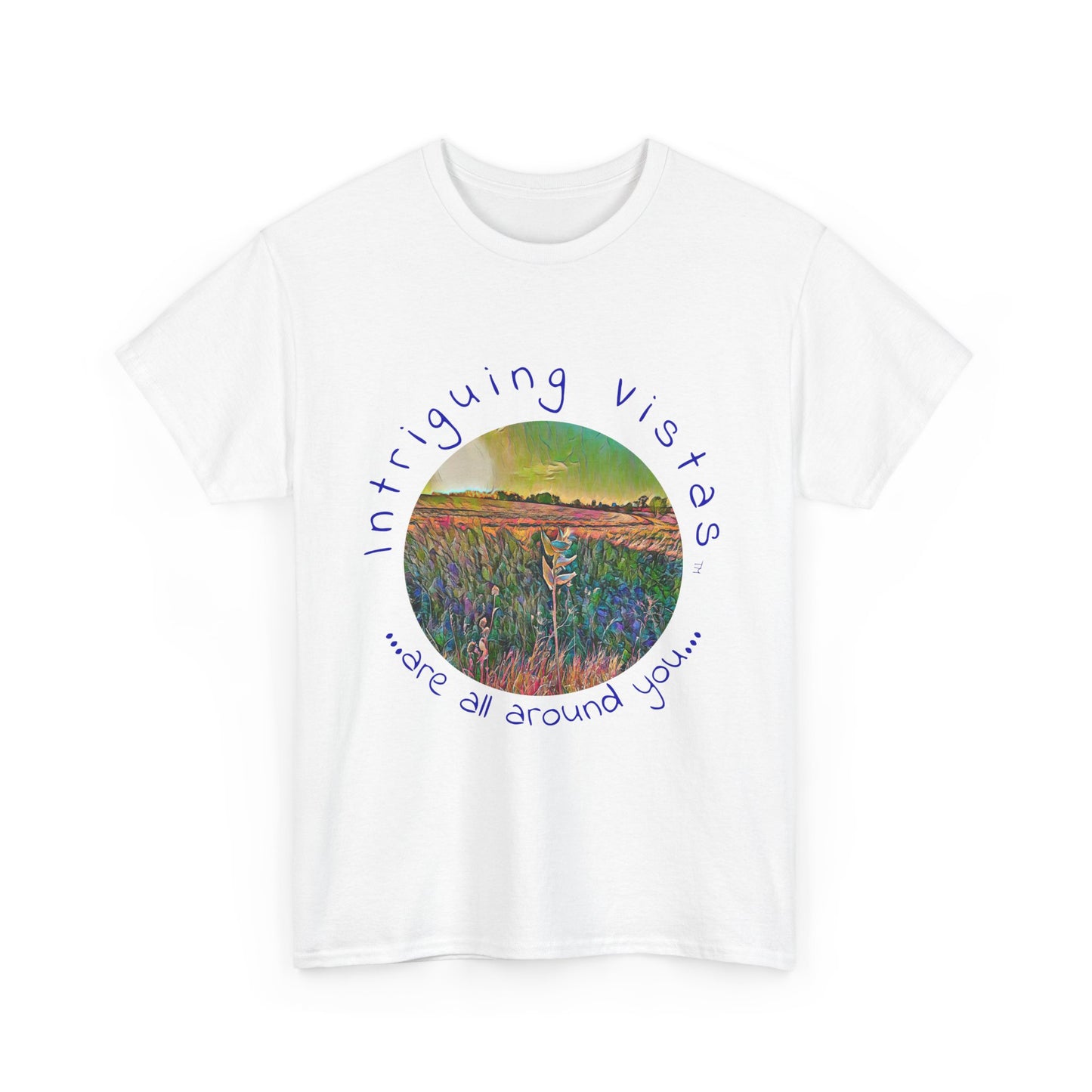 Gildan 5000 Unisex Adult Heavy Cotton Tee from the Scenery Series at Intriguing Vistas