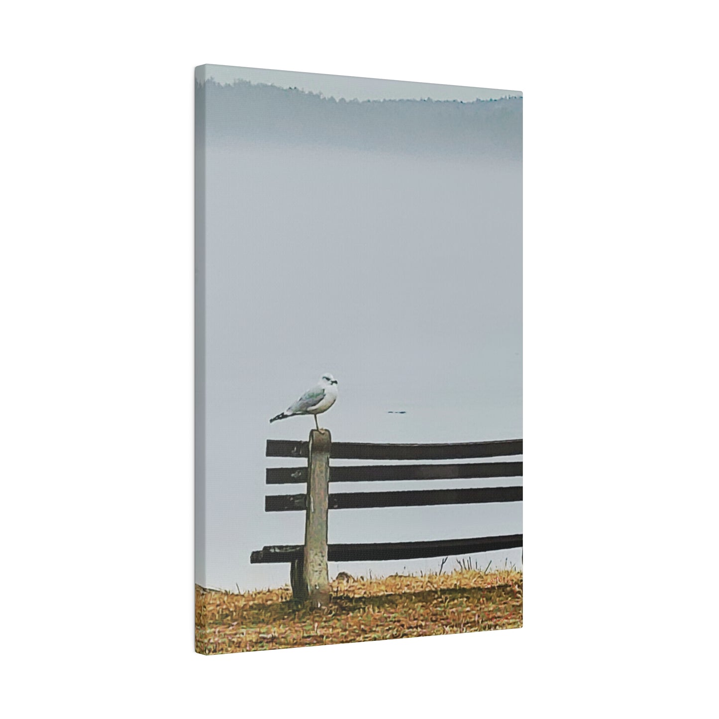 Intriguing Vistas™ Wildlife Series Matte Canvas Print in 12 Portrait Sizes!!