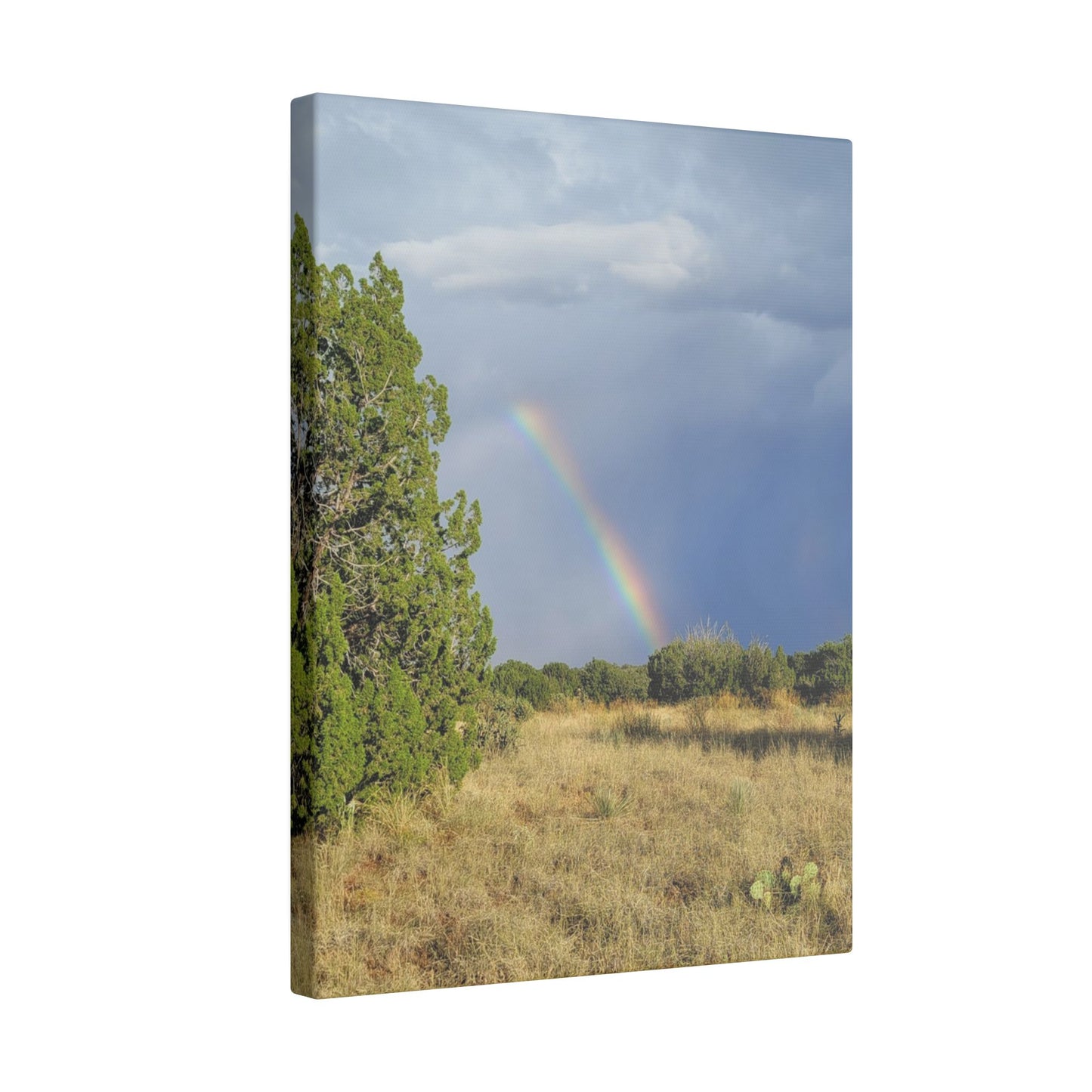 Canvas Print in Multiple Portrait Sizes from the Rainbow Series at Intriguing Vistas