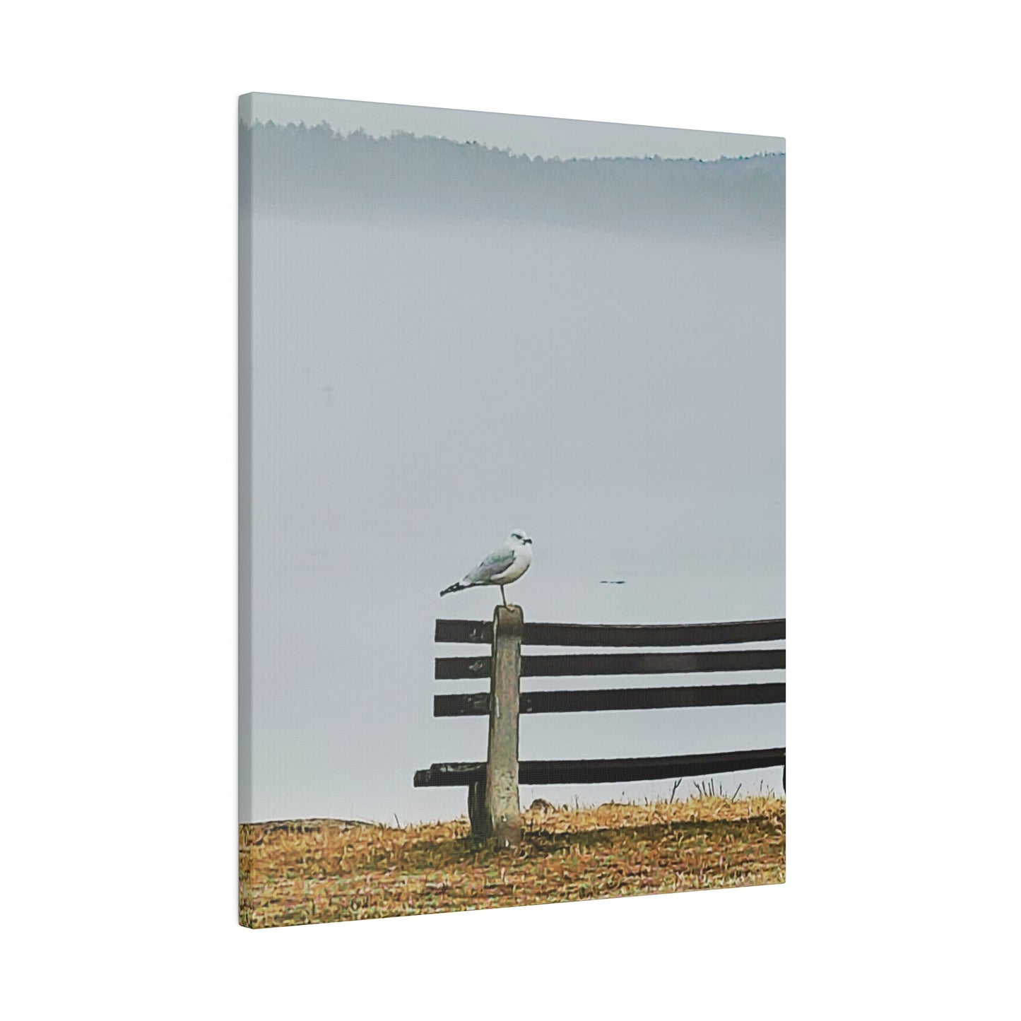 Canvas Print in Multiple Portrait Sizes from the Wildlife Series at Intriguing Vistas