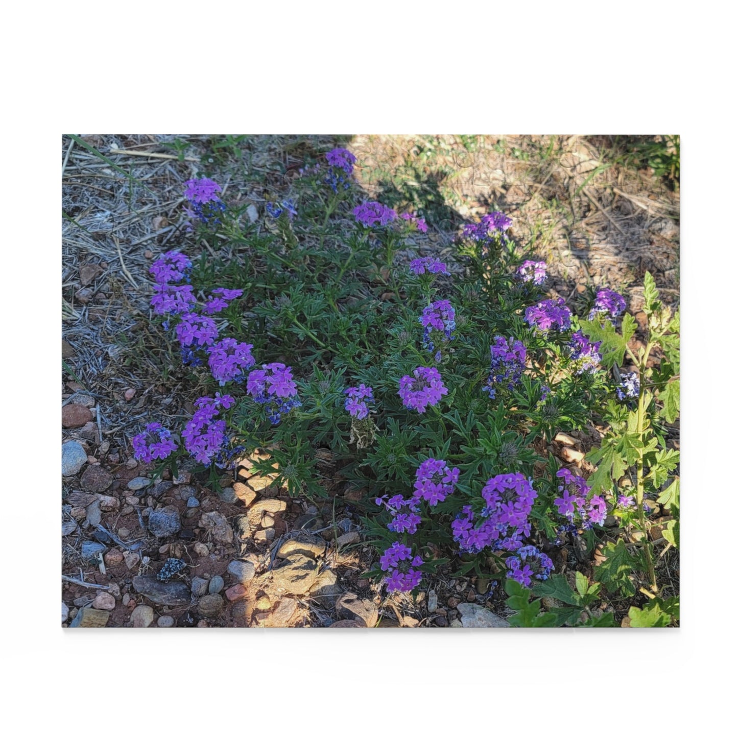 Intriguing Vistas™ Scenery Series Jigsaw Puzzle