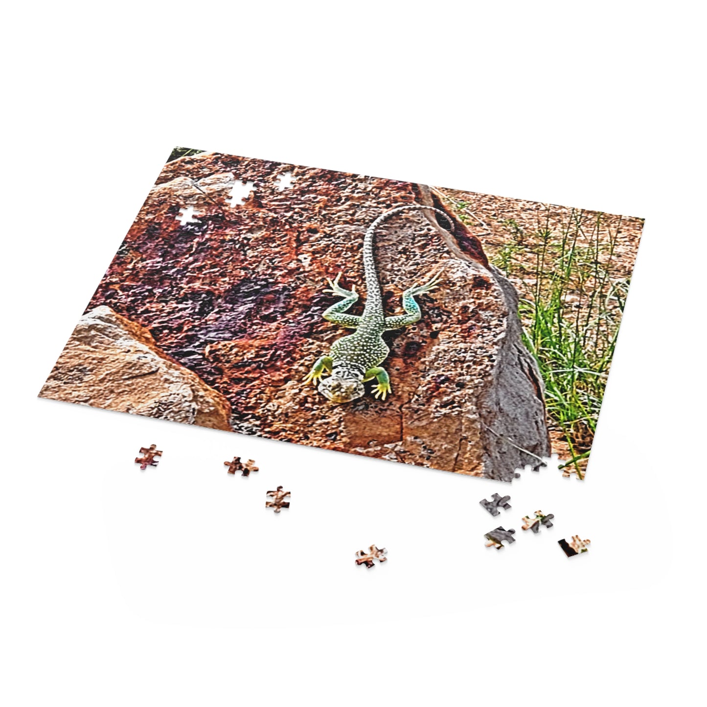 Intriguing Vistas™ Wildlife Series Jigsaw Puzzle