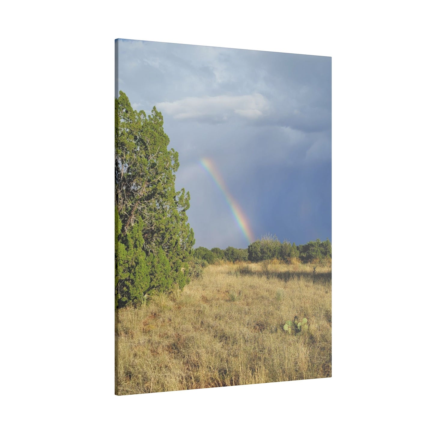 Canvas Print in Multiple Portrait Sizes from the Rainbow Series at Intriguing Vistas