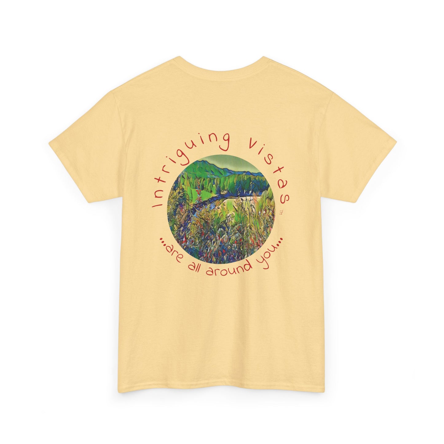 Gildan 5000 Unisex Adult Heavy Cotton Tee from the Scenery Series at Intriguing Vistas