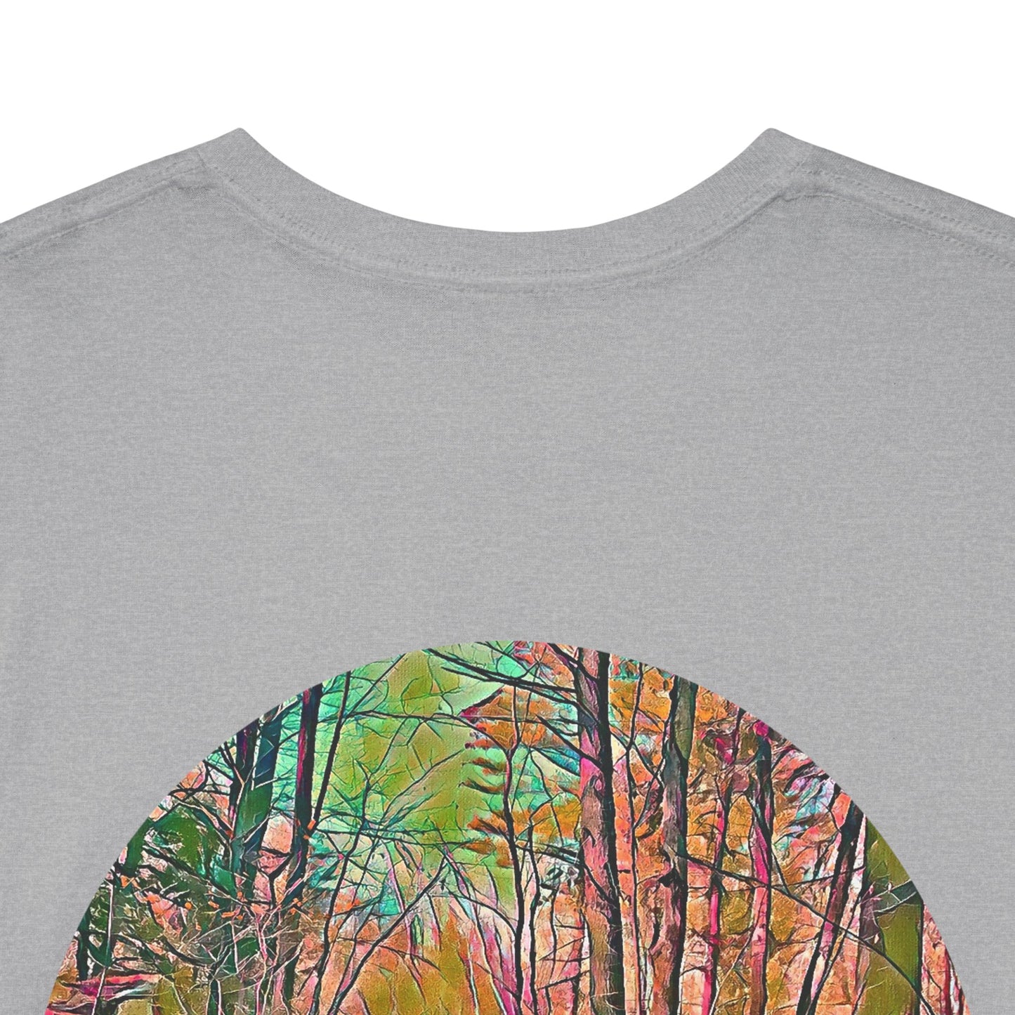 Gildan 5000 Unisex Adult Heavy Cotton Tee Available In Multiple Colors from the Scenery Series at Intriguing Vistas