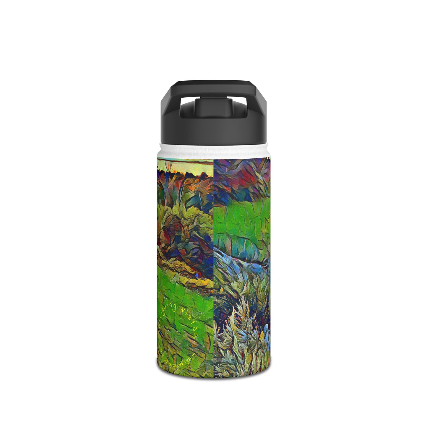 Intriguing Vistas™ Sunset Series Stainless Steel Water Bottle, Standard Lid