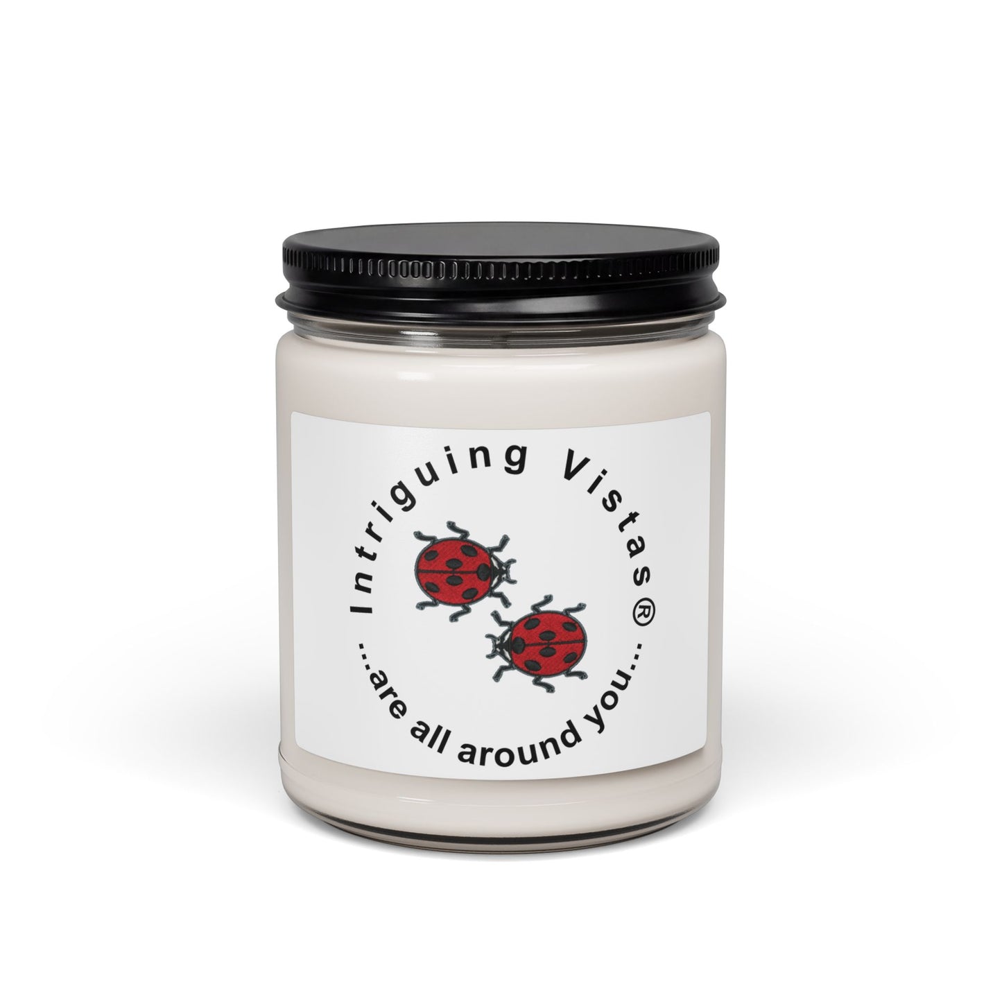Scented Candle Collection in Five Aromatic Scents and Unique Designs to Suit Your Mood from Intriguing Vistas®
