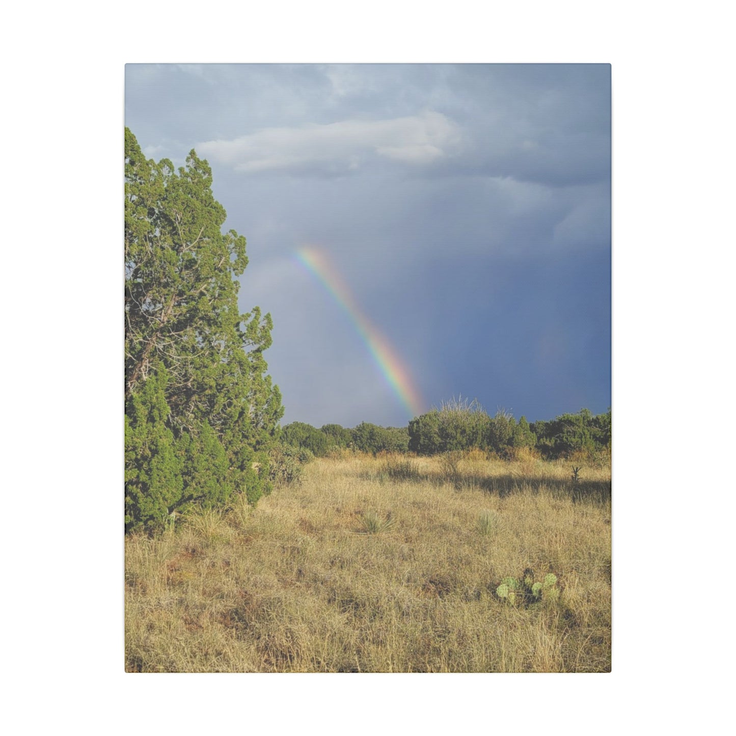 Canvas Print in Multiple Portrait Sizes from the Rainbow Series at Intriguing Vistas