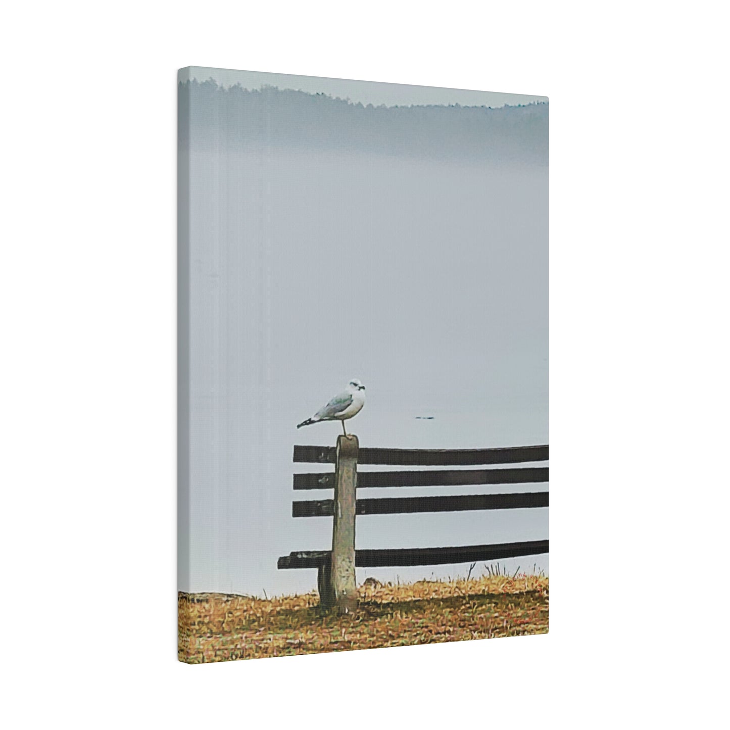 Intriguing Vistas™ Wildlife Series Matte Canvas Print in 12 Portrait Sizes!!