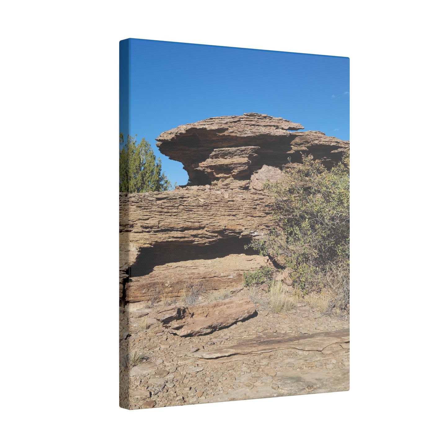 Canvas Print in Multiple Portrait Sizes from the Scenery Series at Intriguing Vistas