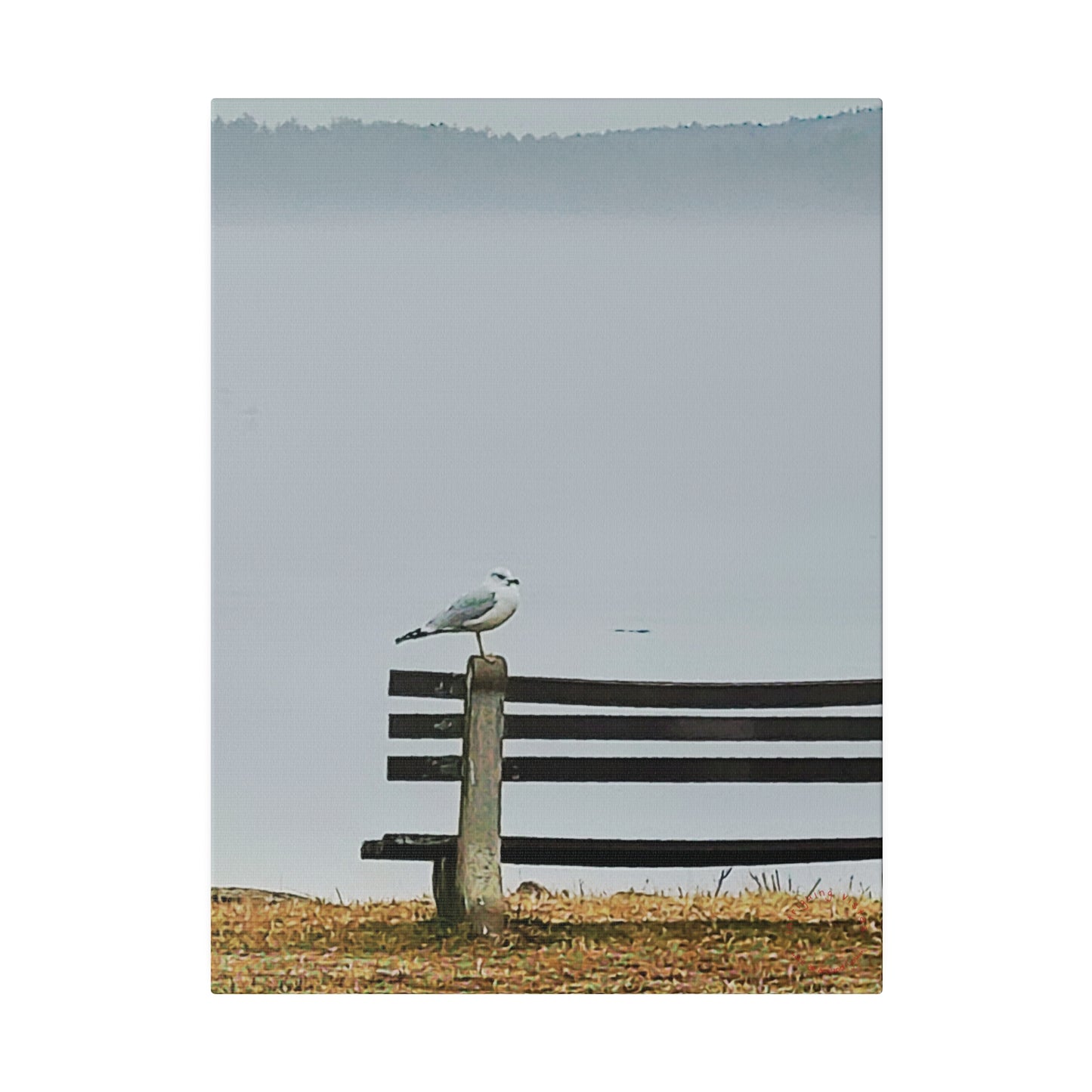 Intriguing Vistas™ Wildlife Series Matte Canvas Print in 12 Portrait Sizes!!