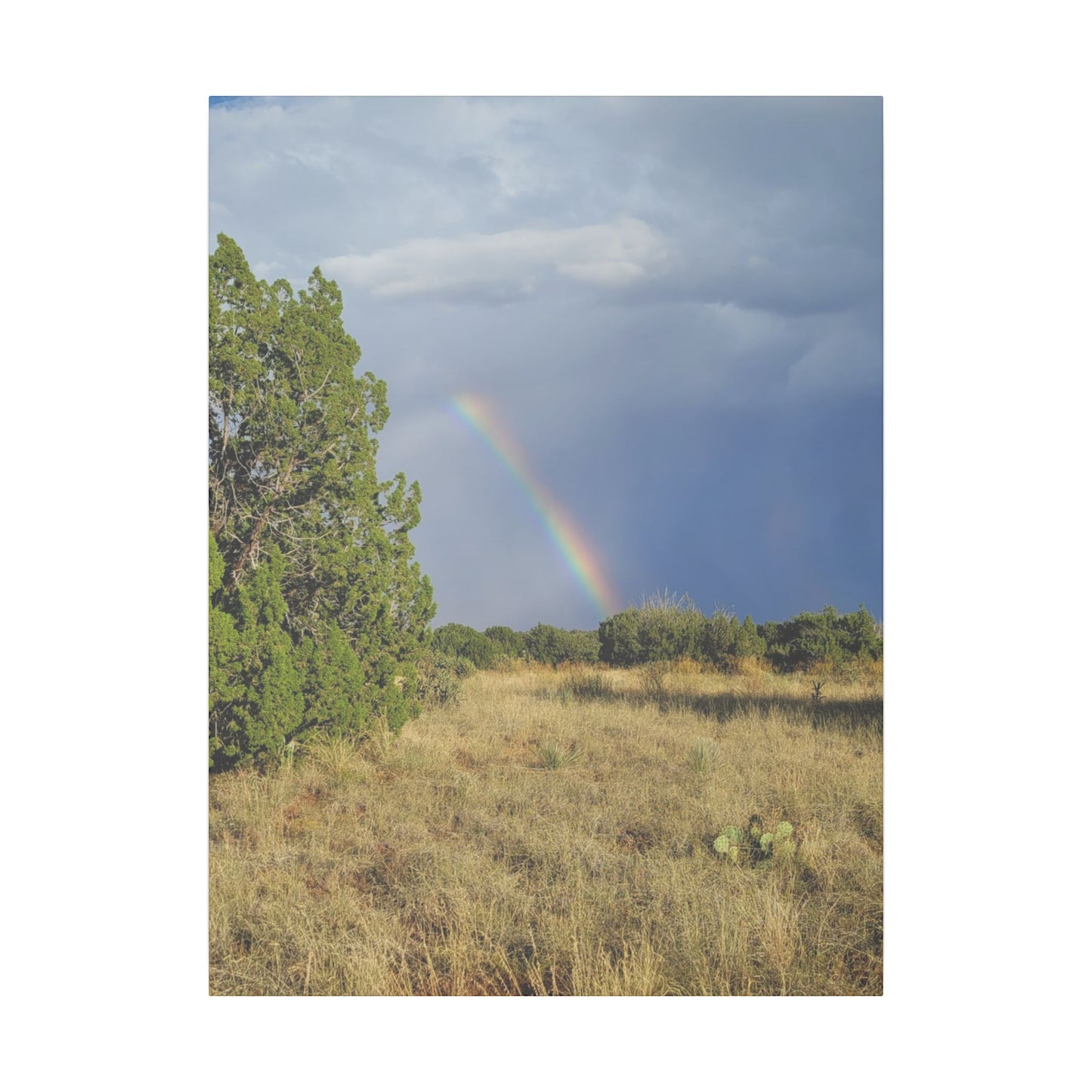 Canvas Print in Multiple Portrait Sizes from the Rainbow Series at Intriguing Vistas