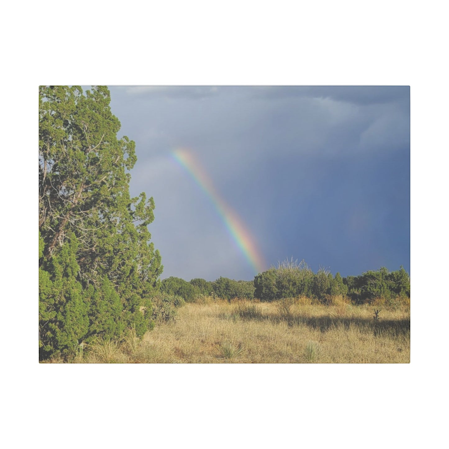 Canvas Print in Multiple Landscape Sizes from the Rainbow Series at Intriguing Vistas