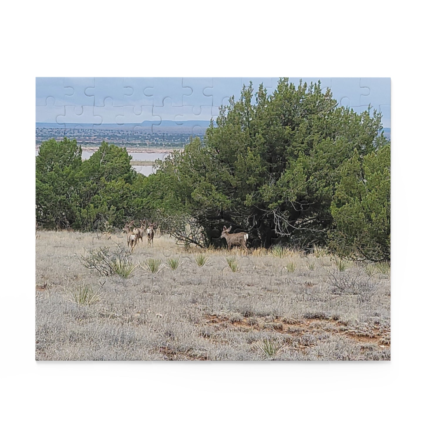 Copy of Intriguing Vistas™ Wildlife Series Jigsaw Puzzle