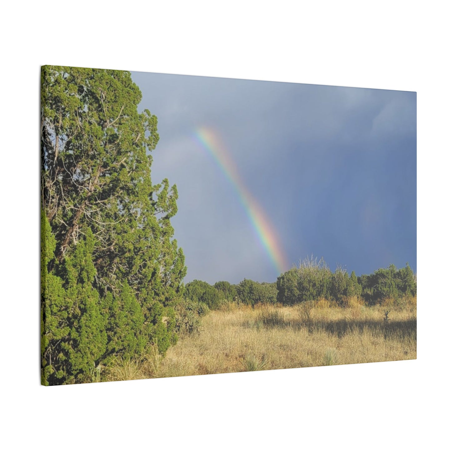 Canvas Print in Multiple Landscape Sizes from the Rainbow Series at Intriguing Vistas