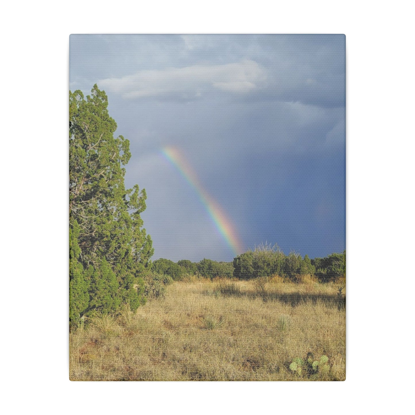 Canvas Print in Multiple Portrait Sizes from the Rainbow Series at Intriguing Vistas