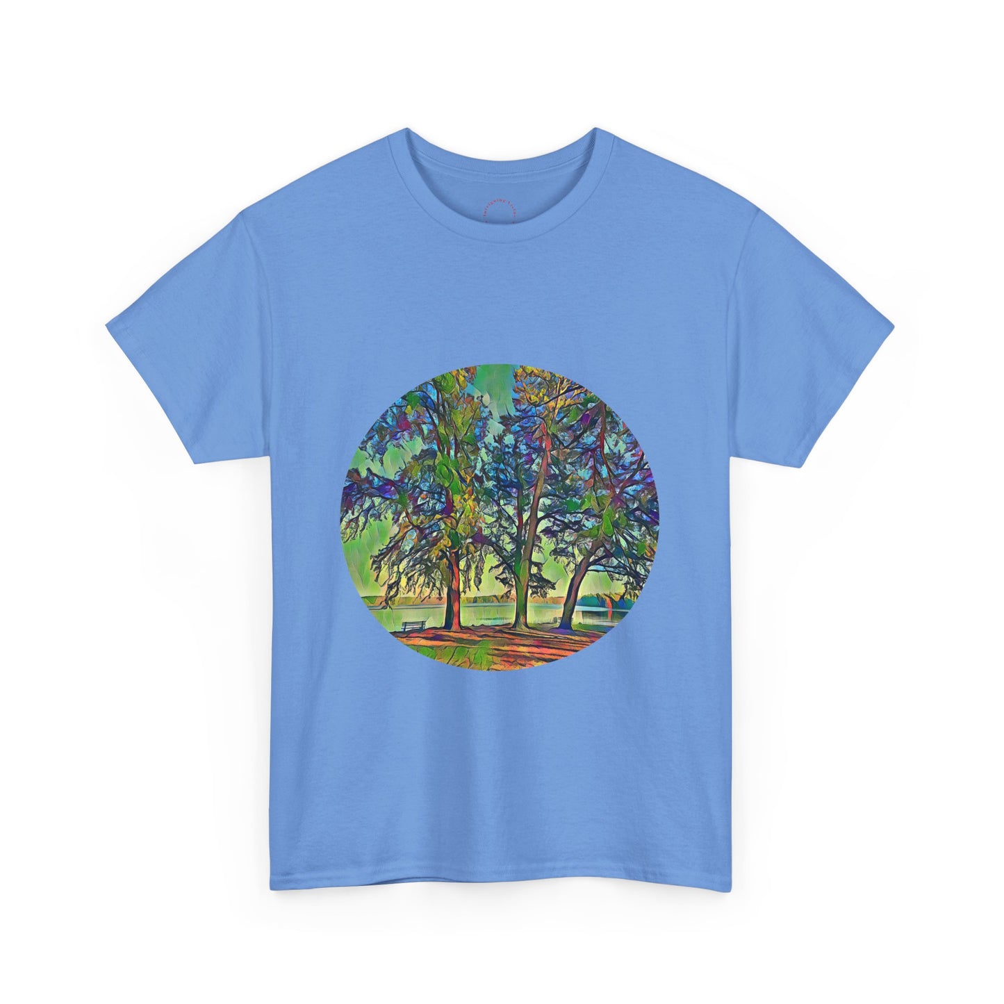 Gildan 5000 Unisex Adult Heavy Cotton Tee Available In Multiple Colors from the Scenery Series at Intriguing Vistas