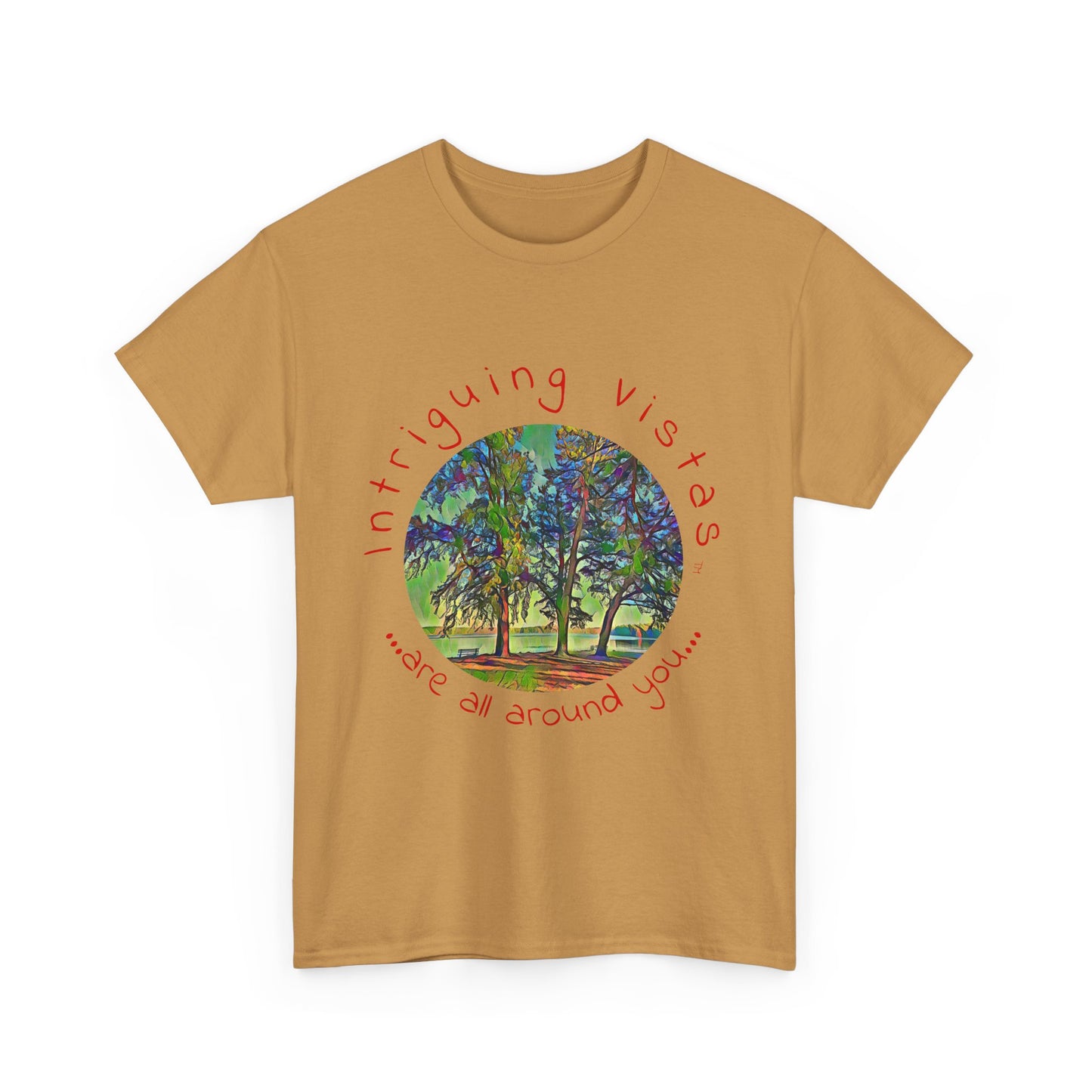 Gildan 5000 Unisex Adult Heavy Cotton Tee from the Scenery Series at Intriguing Vistas