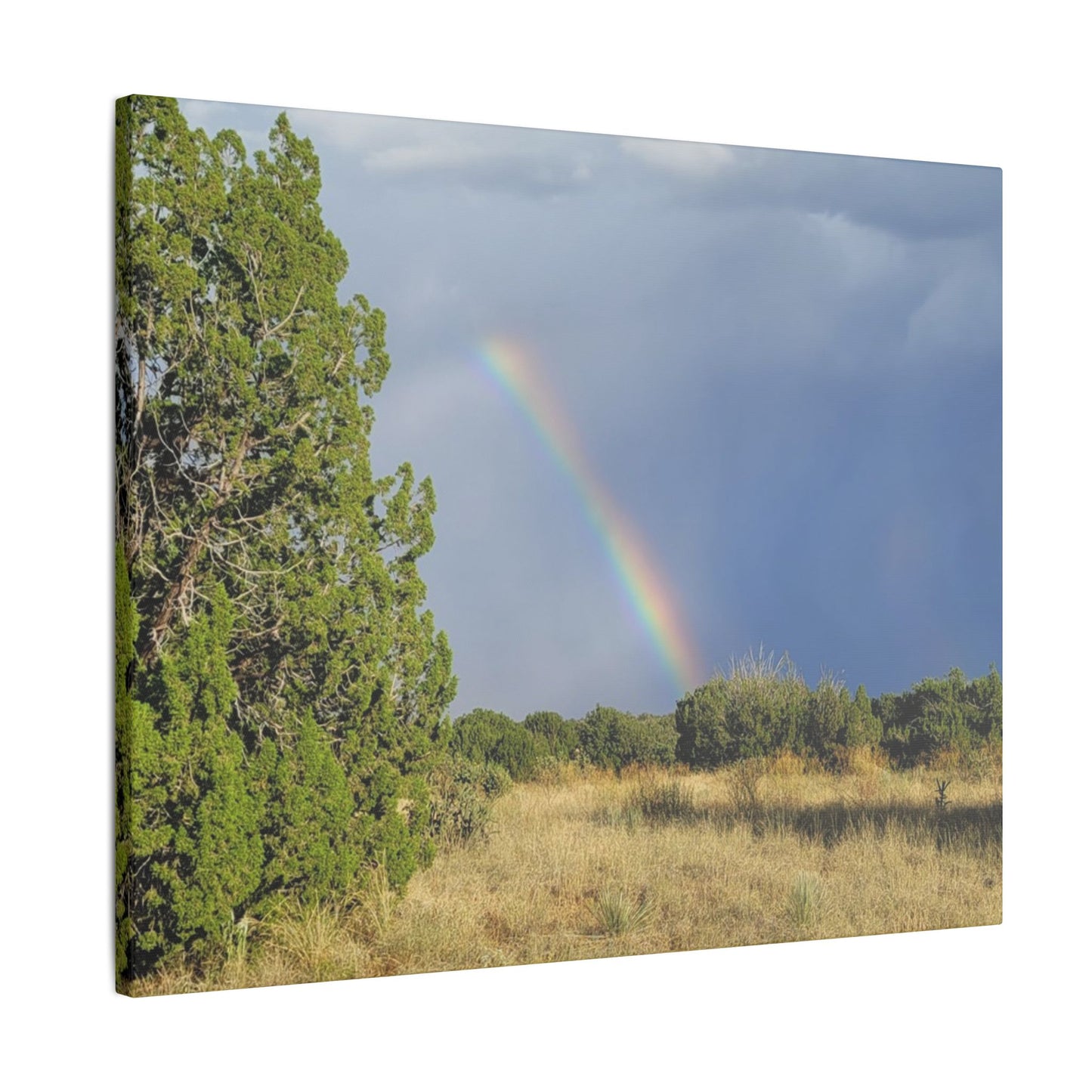 Canvas Print in Multiple Landscape Sizes from the Rainbow Series at Intriguing Vistas