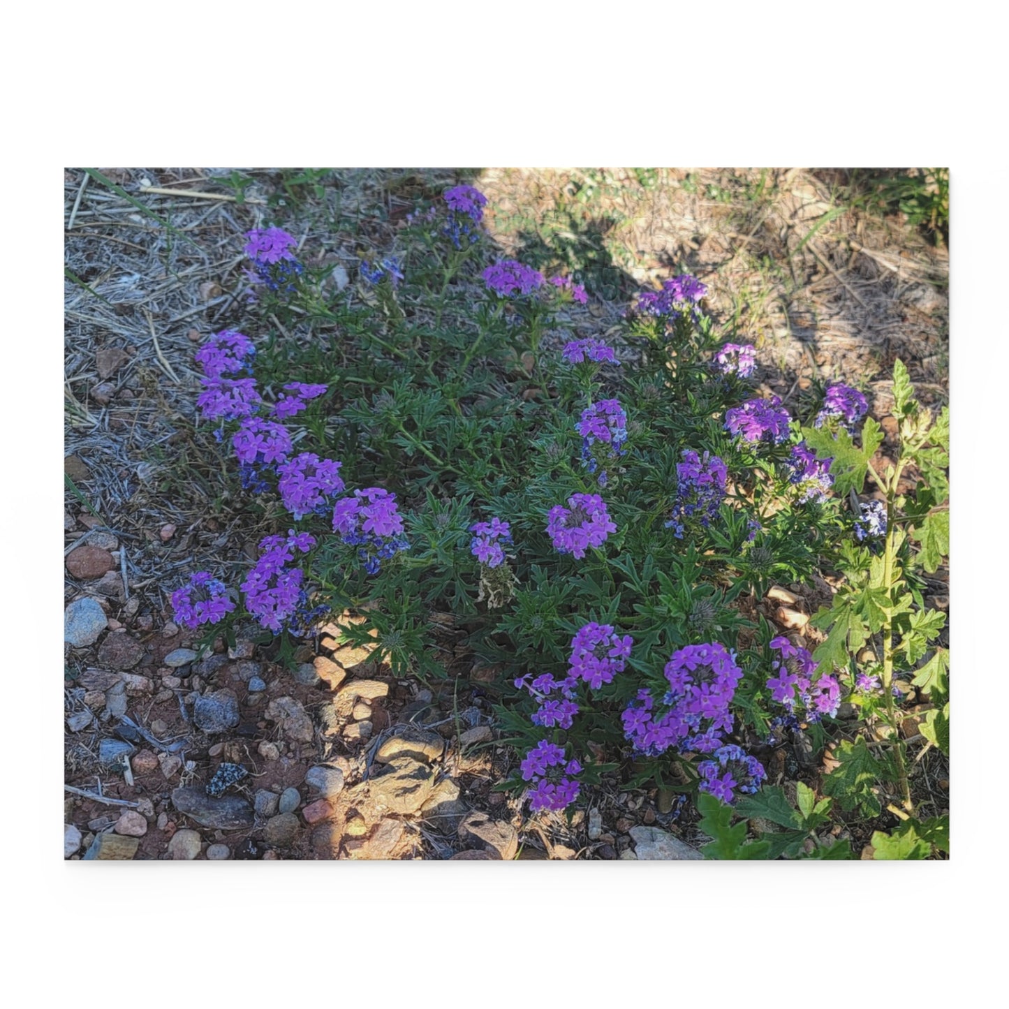 Intriguing Vistas™ Scenery Series Jigsaw Puzzle