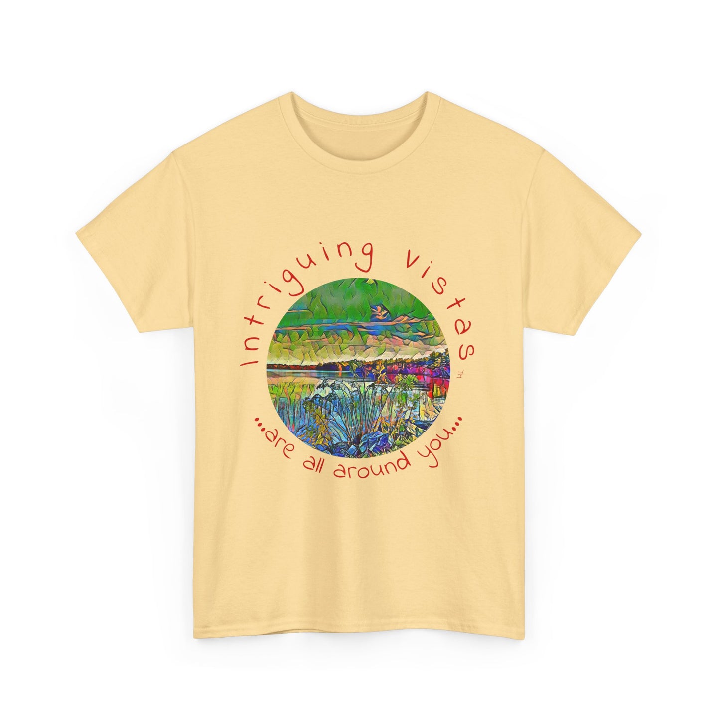 Gildan 5000 Unisex Adult Heavy Cotton Tee from the Scenery Series at Intriguing Vistas