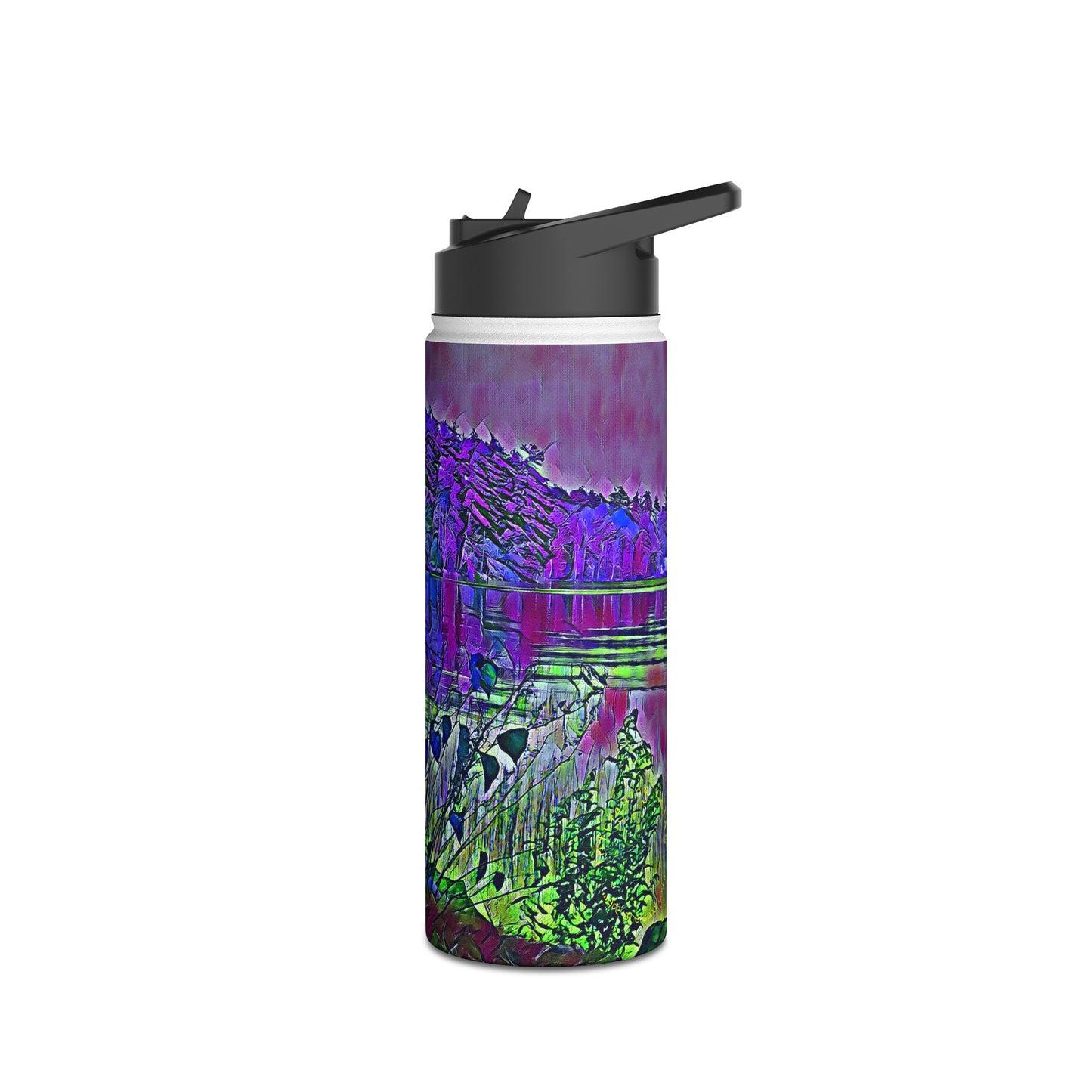 Intriguing Vistas™ Series Stainless Steel Water Bottle, Standard Lid