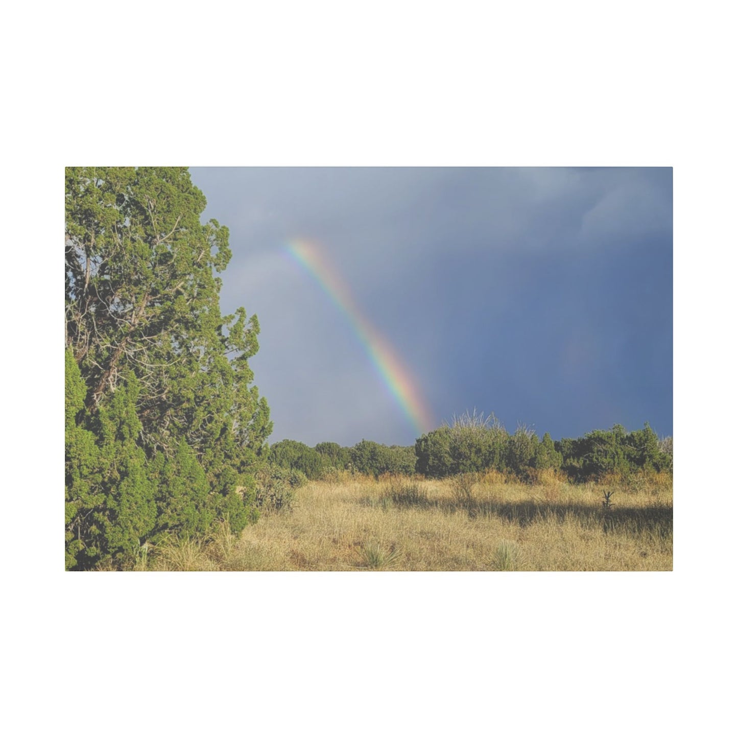 Canvas Print in Multiple Landscape Sizes from the Rainbow Series at Intriguing Vistas