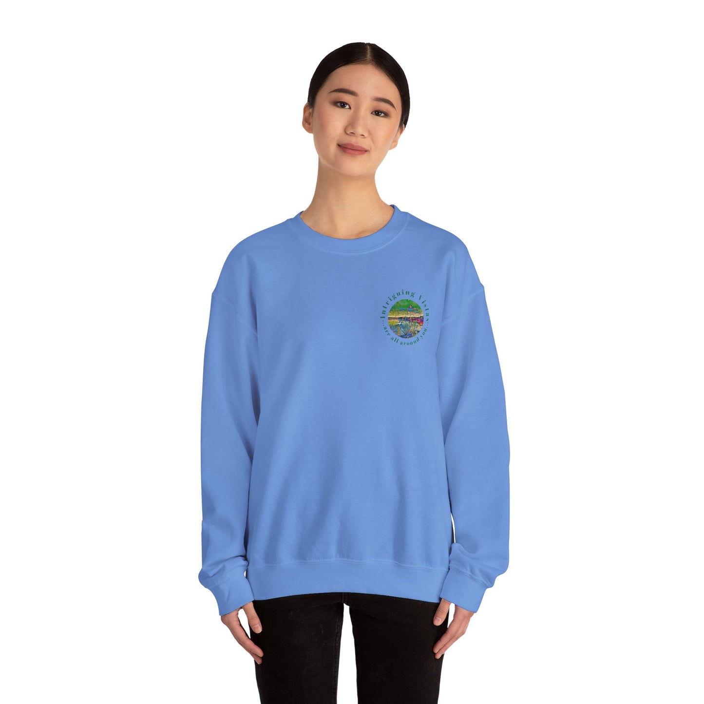 Gildan 18000 Unisex Adult Heavy Blend Crewneck Sweatshirt Available in Multiple Colors from the Scenery Series at Intriguing Vistas