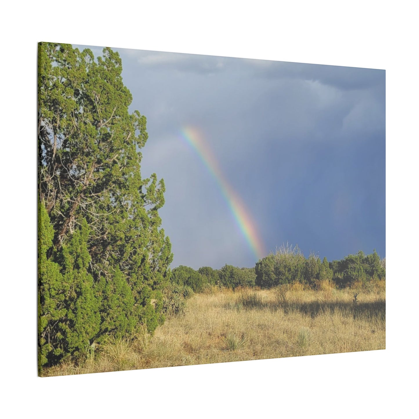 Canvas Print in Multiple Landscape Sizes from the Rainbow Series at Intriguing Vistas