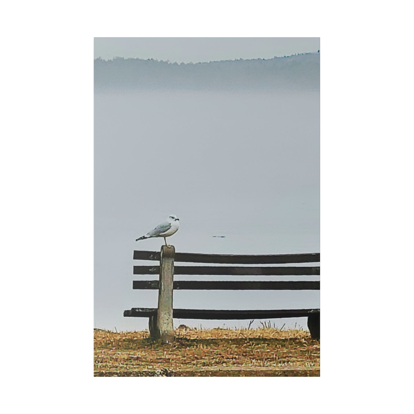 Intriguing Vistas™ Wildlife Series Matte Canvas Print in 12 Portrait Sizes!!