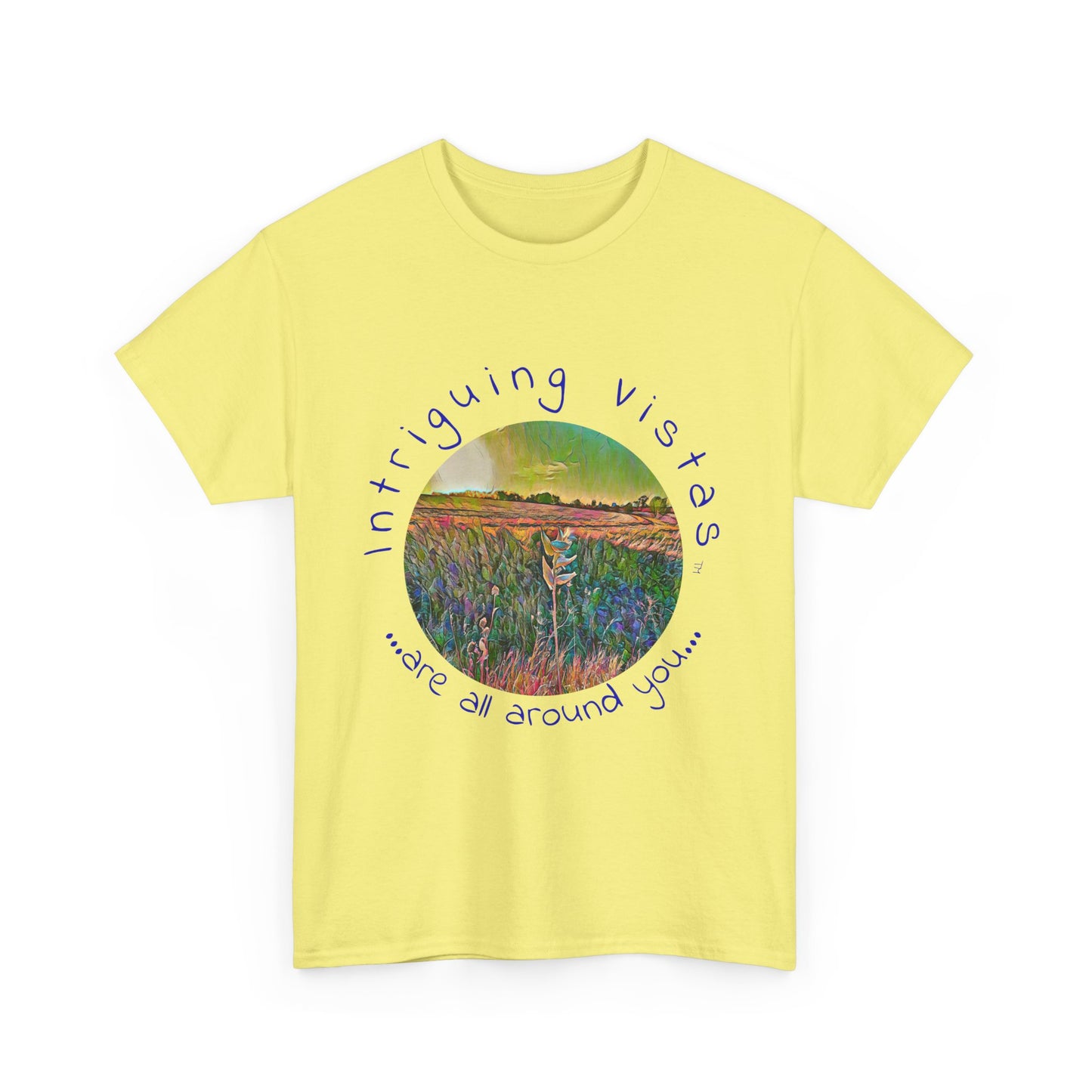 Gildan 5000 Unisex Adult Heavy Cotton Tee from the Scenery Series at Intriguing Vistas