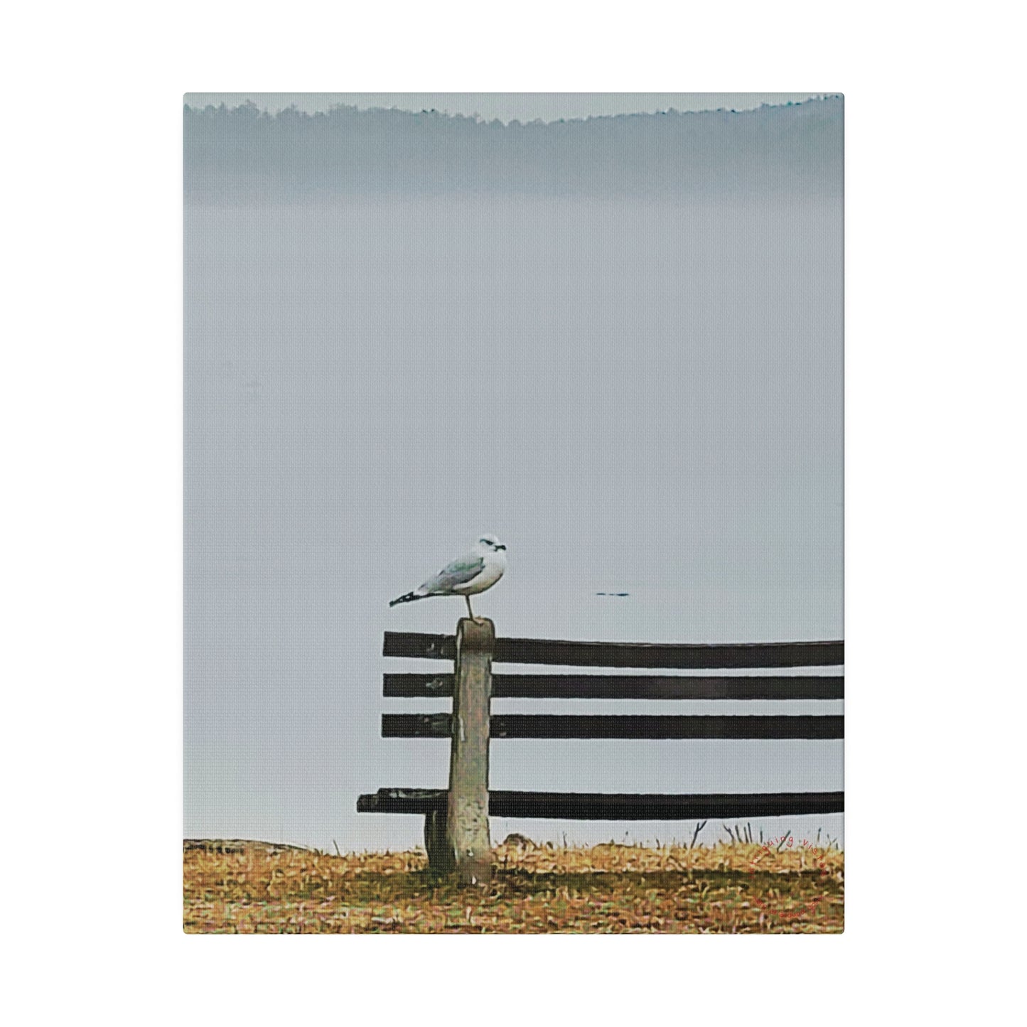 Intriguing Vistas™ Wildlife Series Matte Canvas Print in 12 Portrait Sizes!!