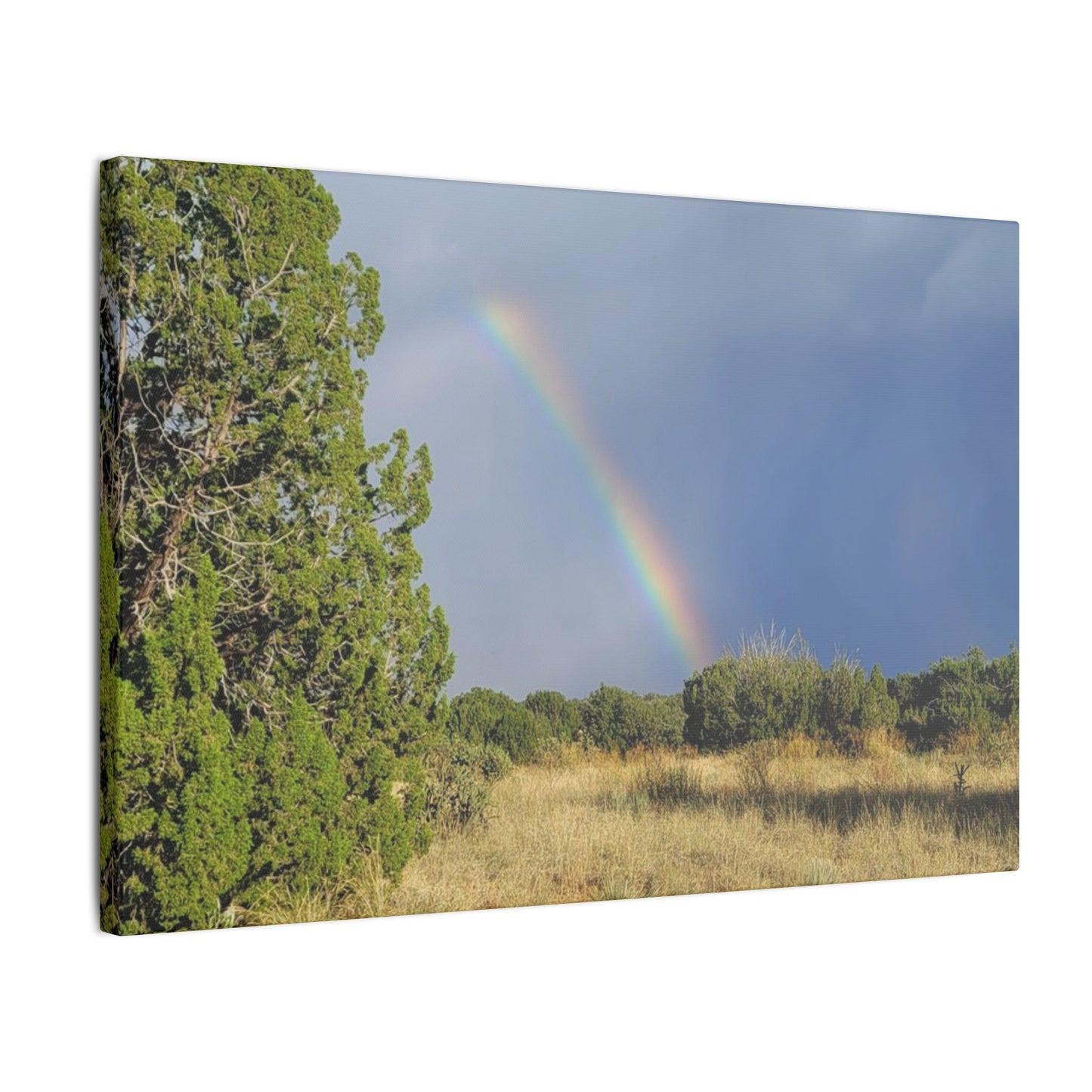 Canvas Print in Multiple Landscape Sizes from the Rainbow Series at Intriguing Vistas