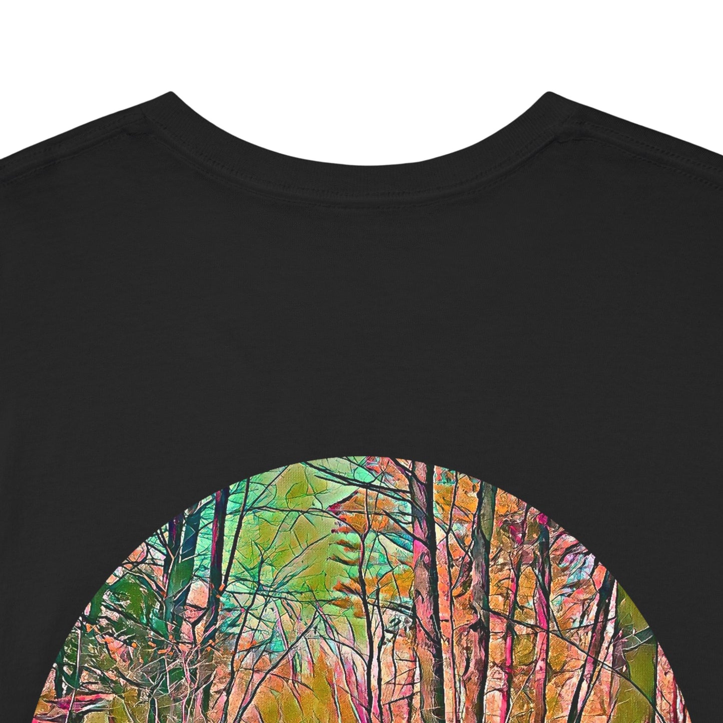 Gildan 5000 Unisex Adult Heavy Cotton Tee Available In Multiple Colors from the Scenery Series at Intriguing Vistas